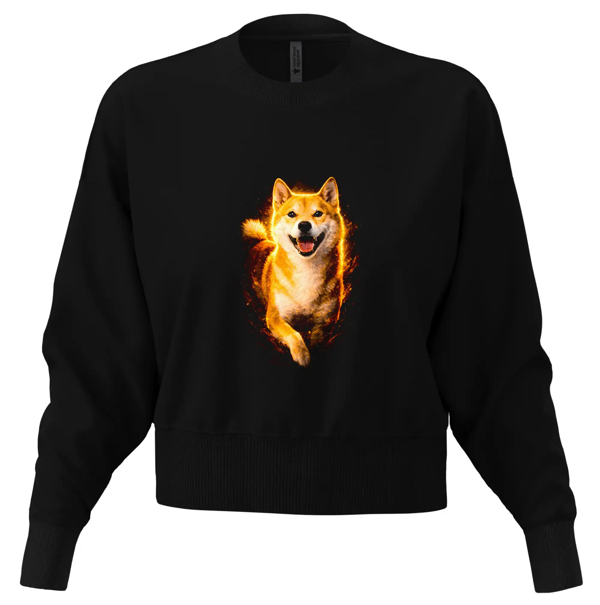 Obrázek polotón Shiba Inu bežící
