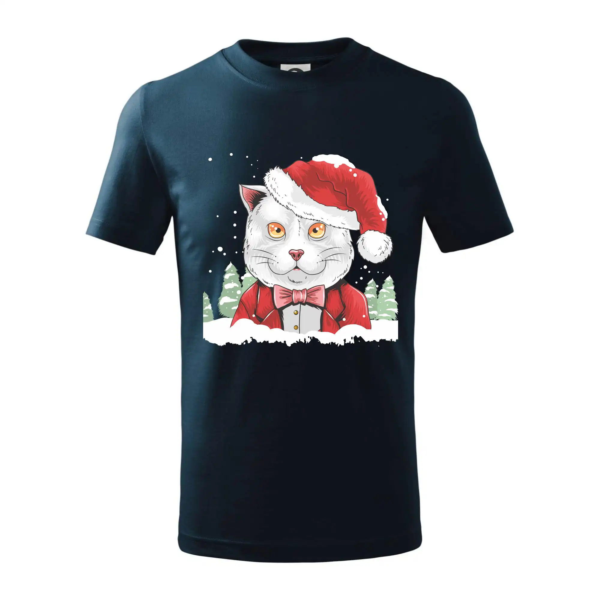 Santa kocour