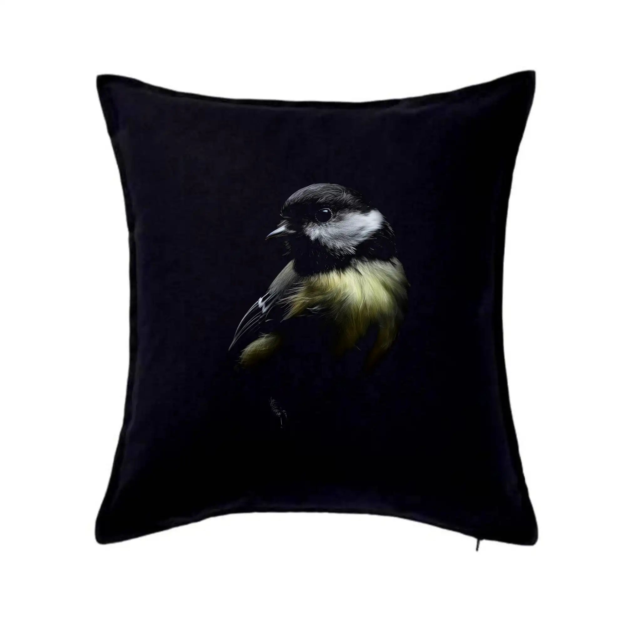 Sýkora koňadra černá fotka