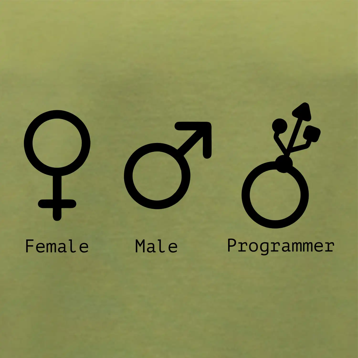Female male programmer