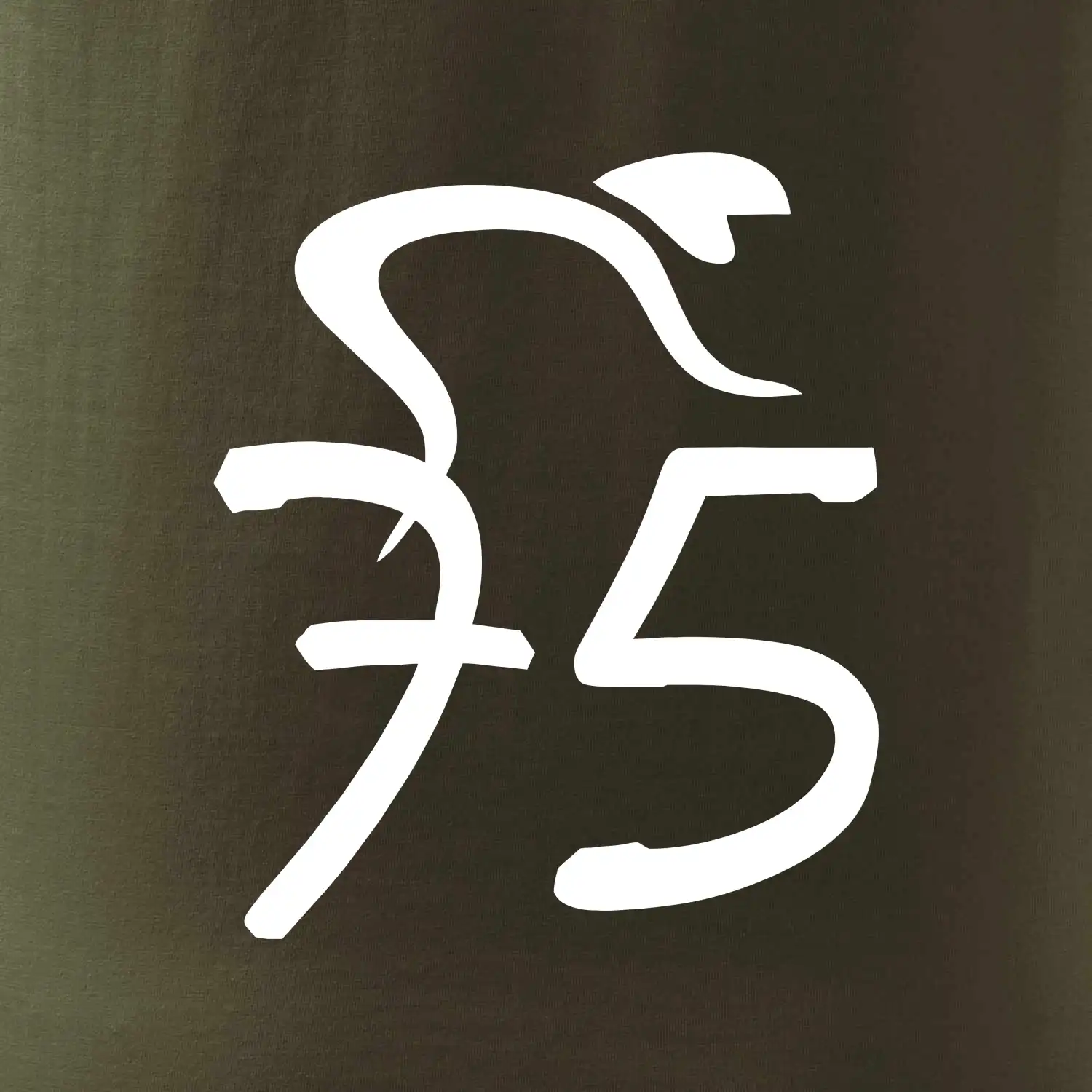 Cyklista slaví pětasedmdesátku (75)