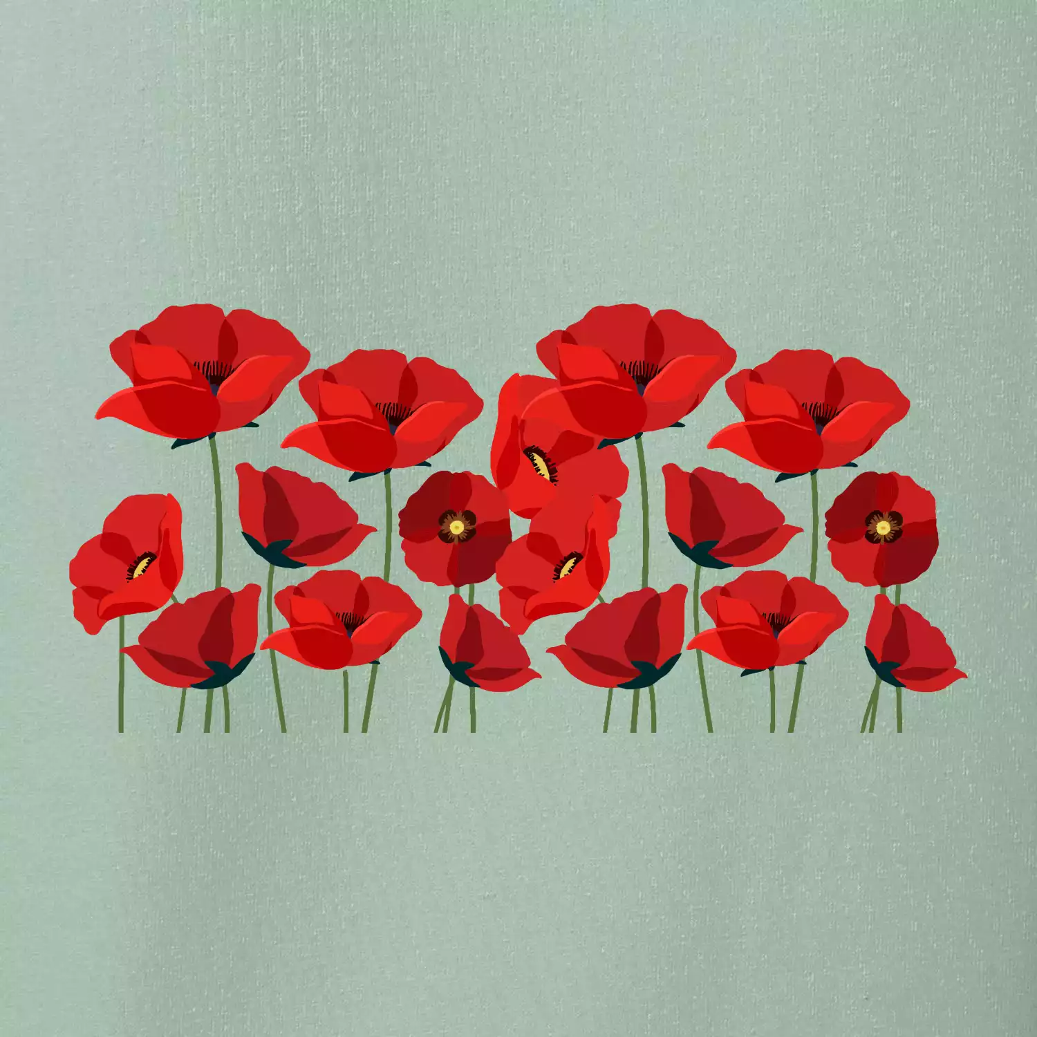 Vlčí mák v řadě