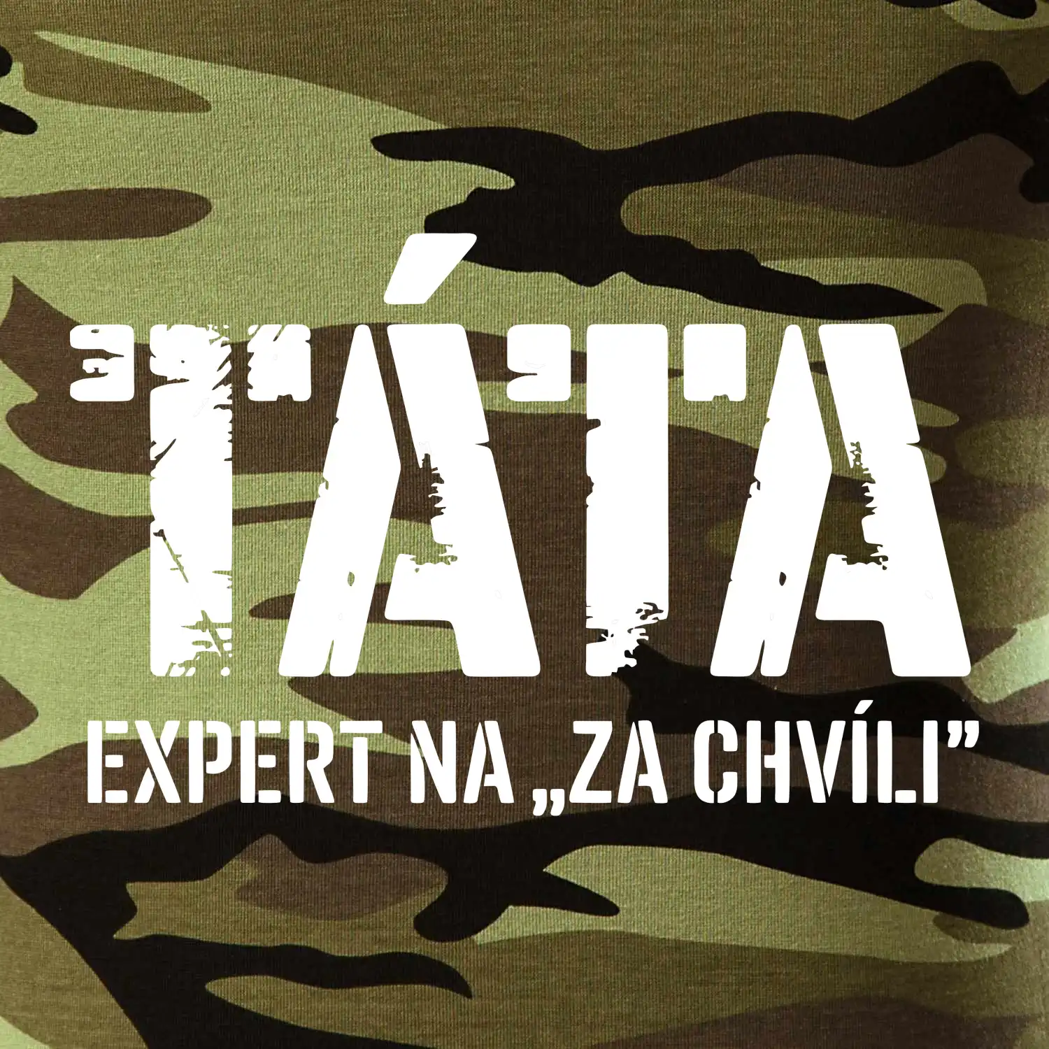 Táta - expert na za chvíli
