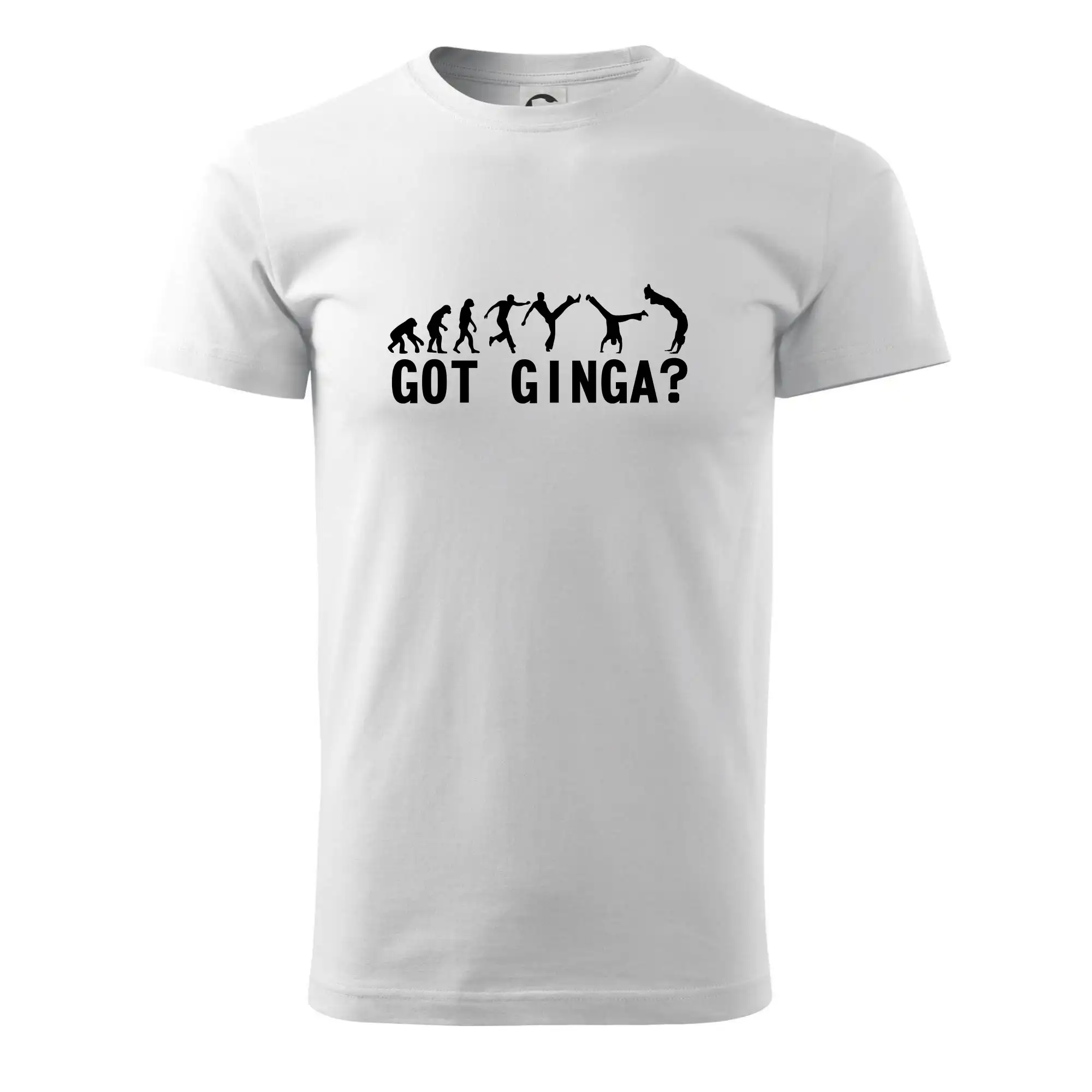 Capoeira - Got Ginga