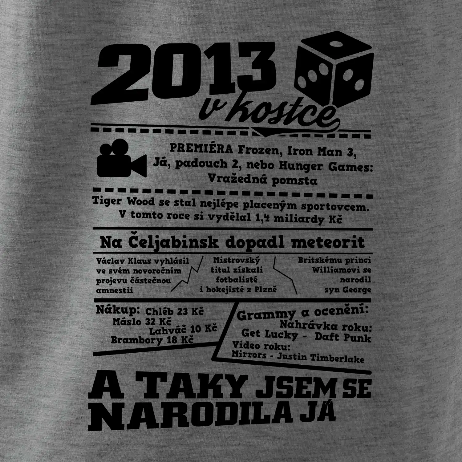 2013 v kostce