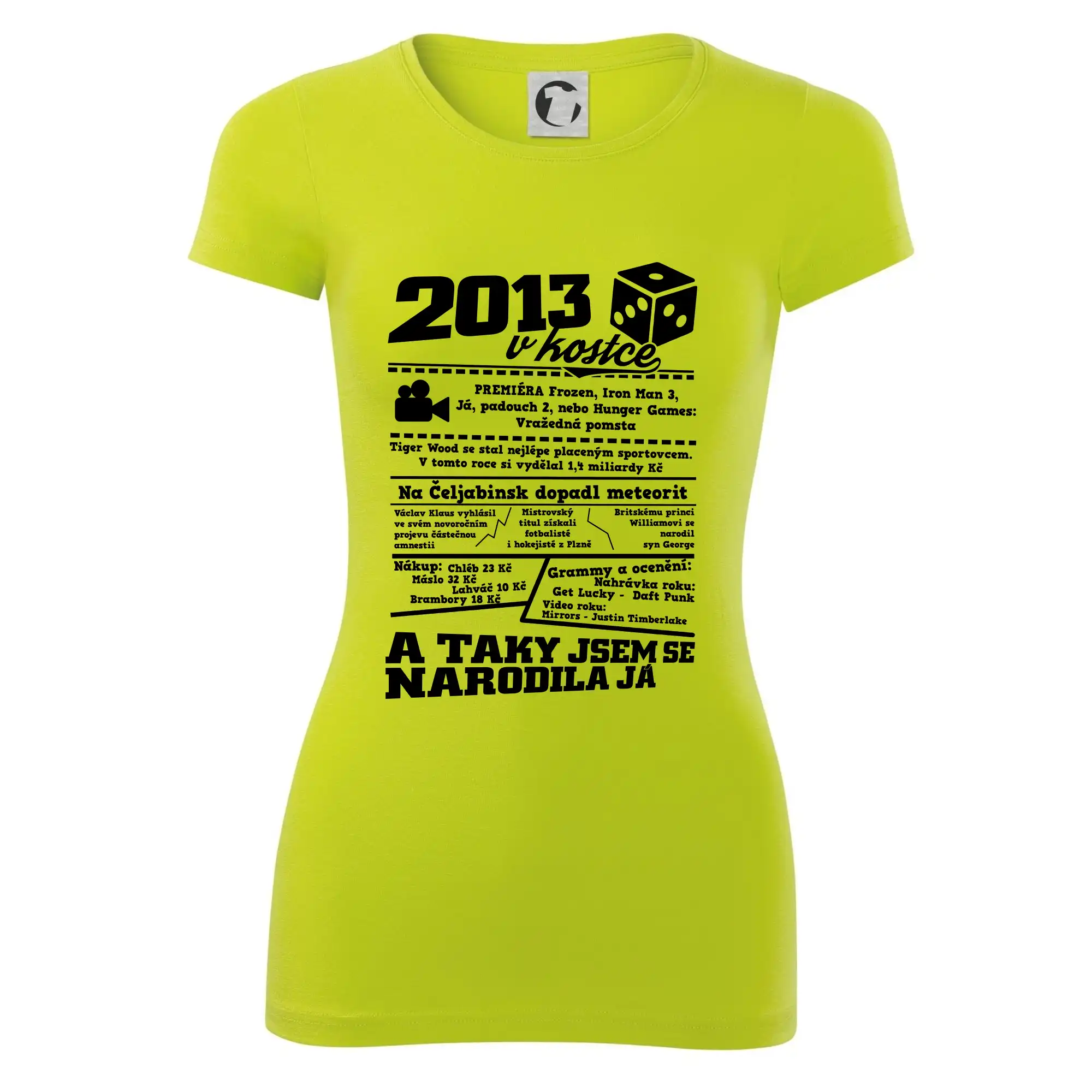 2013 v kostce