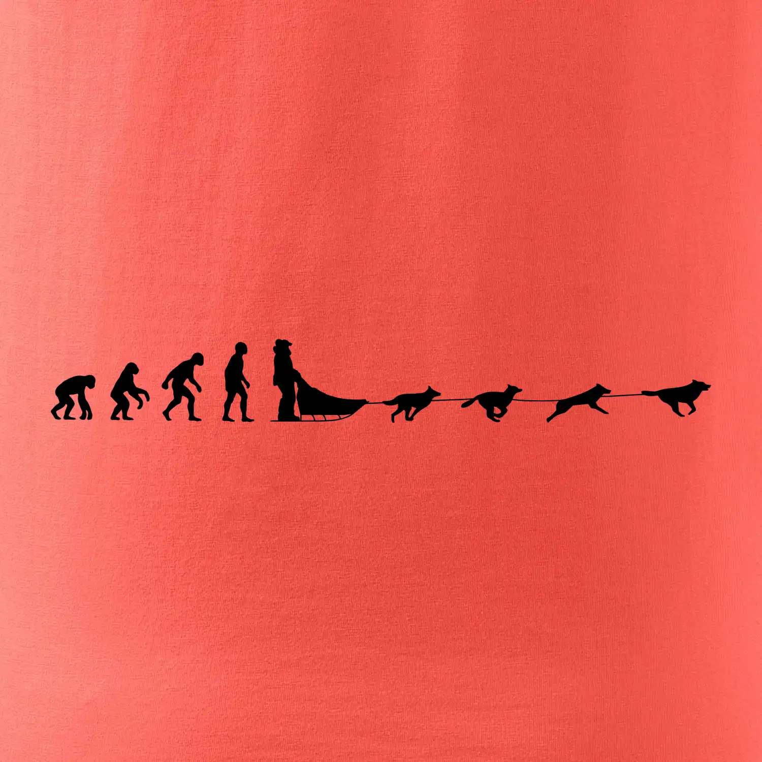 Evoluce psí spřežení