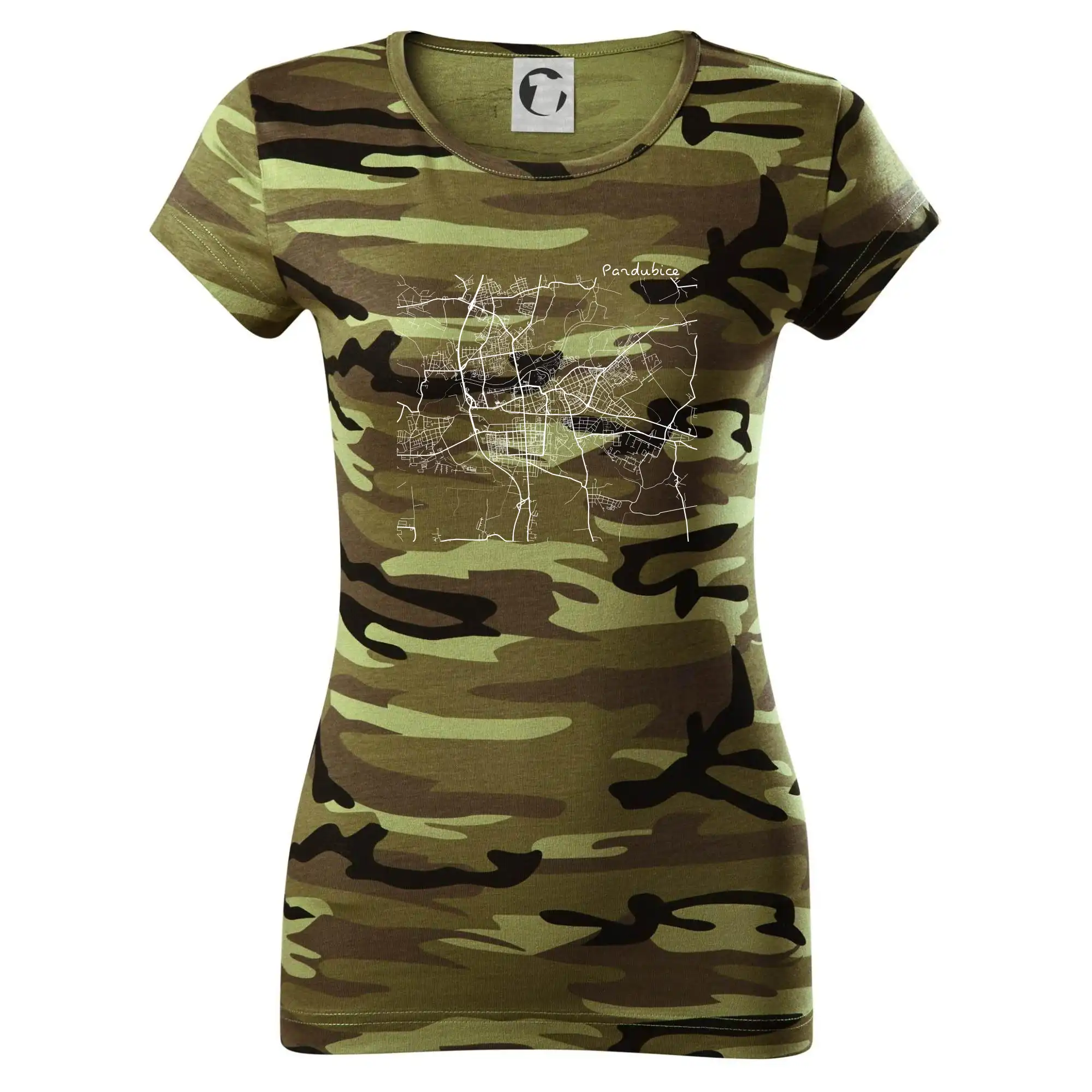 Mapy měst černobílé Pardubice