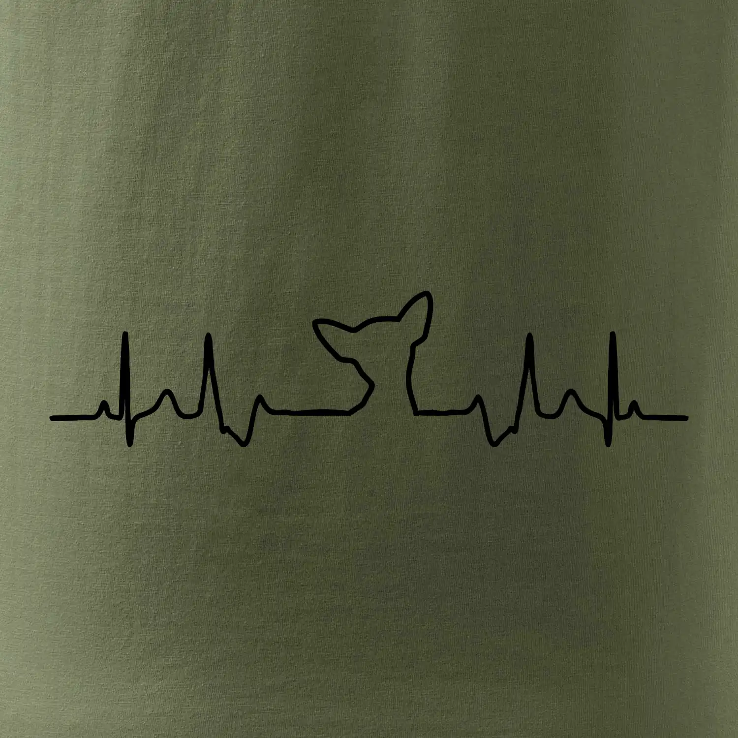 Čivava EKG
