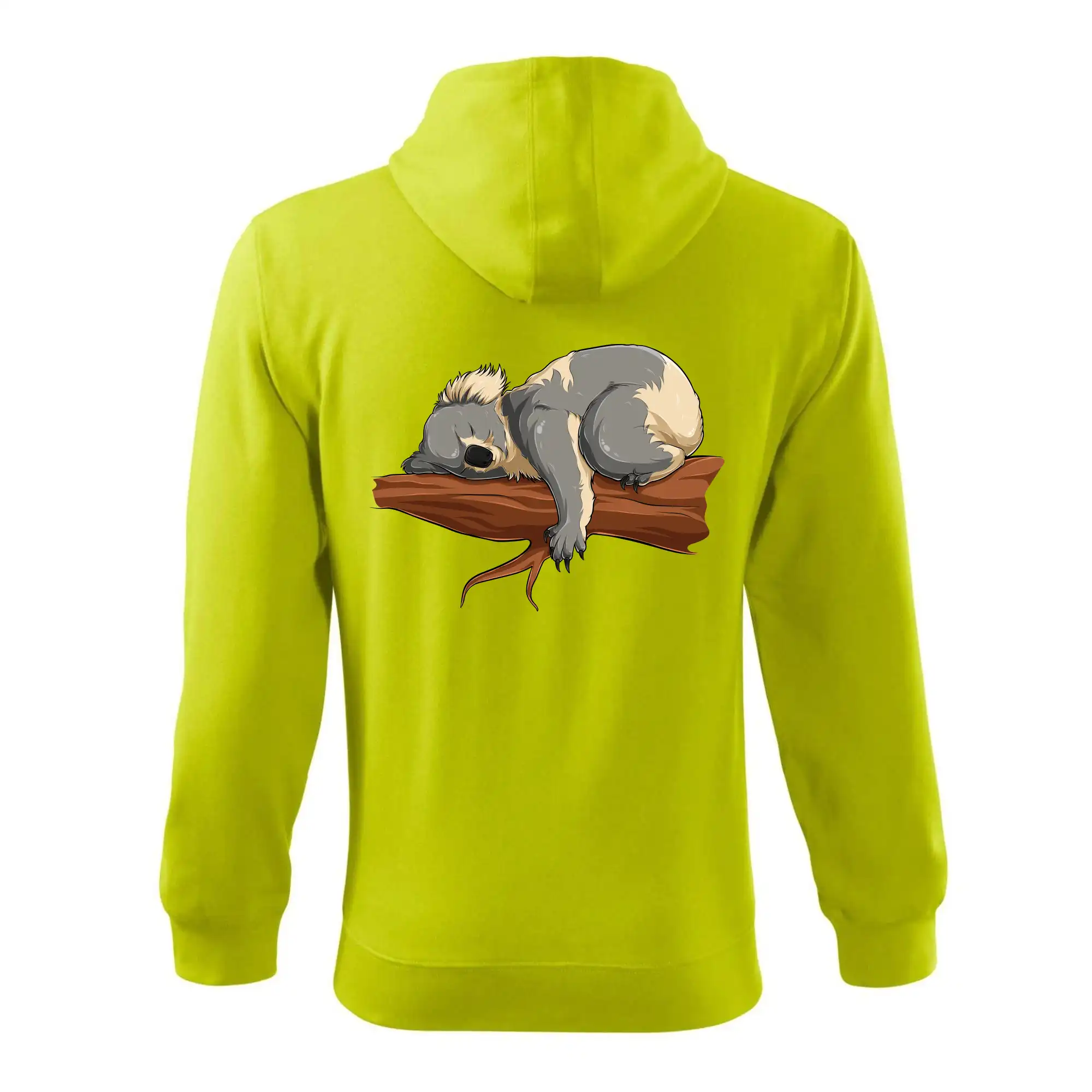 Koala na větvi