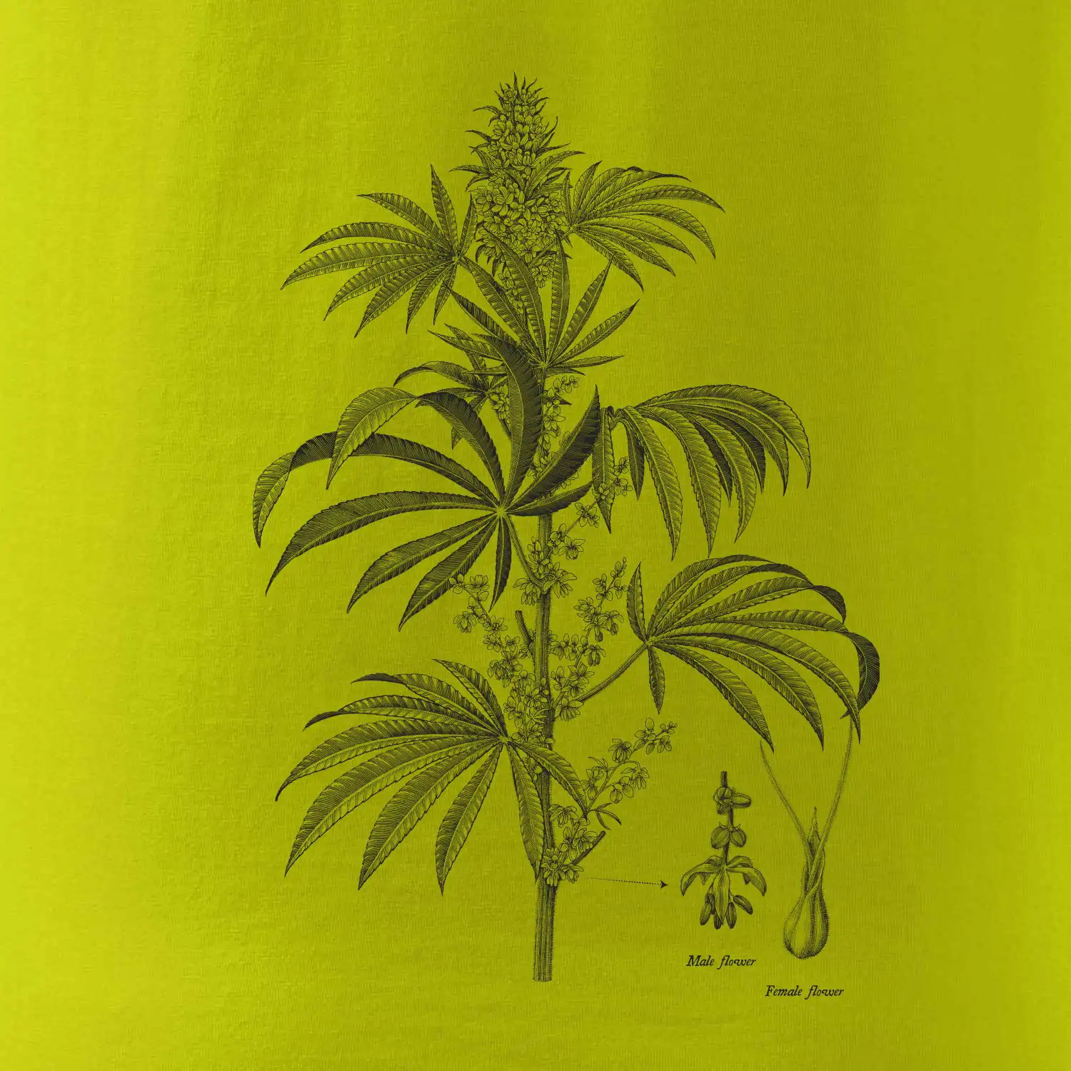 Konopí kytka černobílá