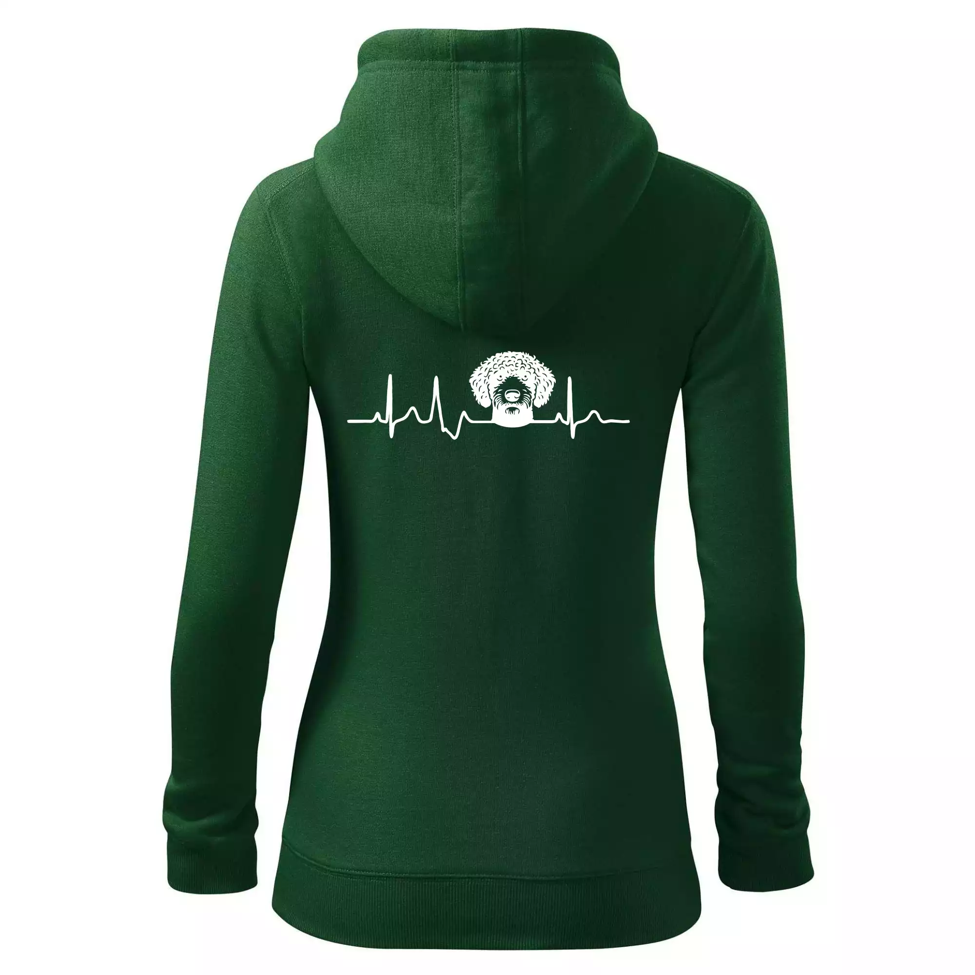 Lagotto romagnolo hlava EKG