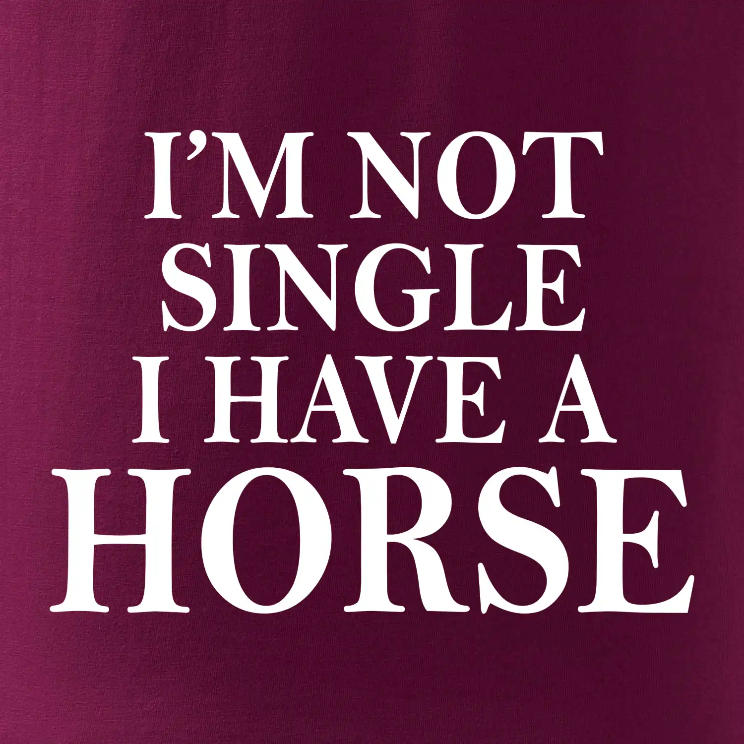 I have a horse - Nepotřebuji přítele