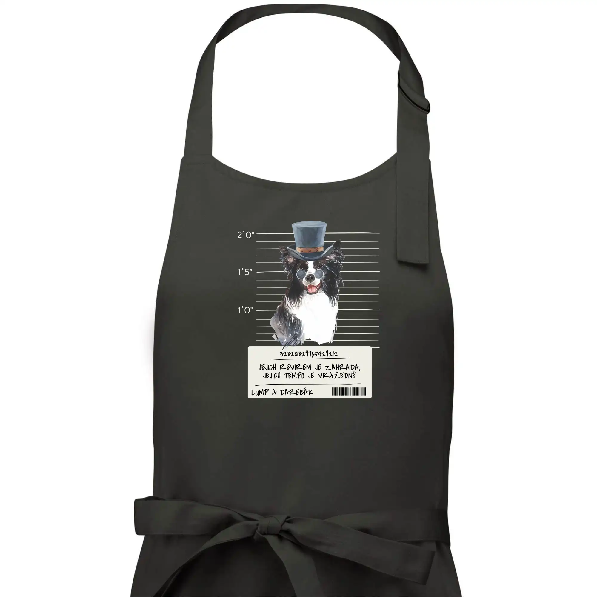 Lump a darebák border kolie