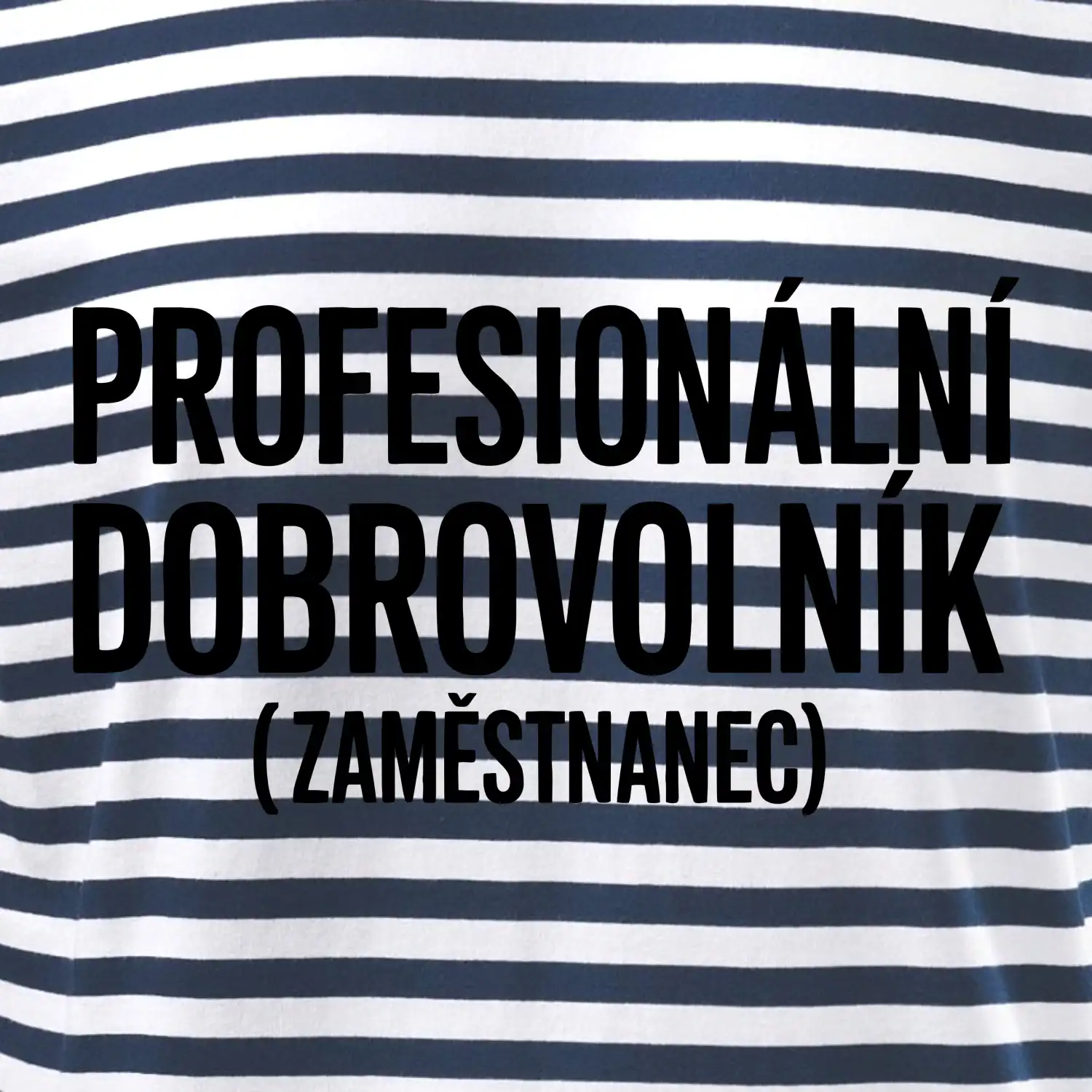 PROFESIONÁLNÍ DOBROVOLNÍK (zaměstnanec)