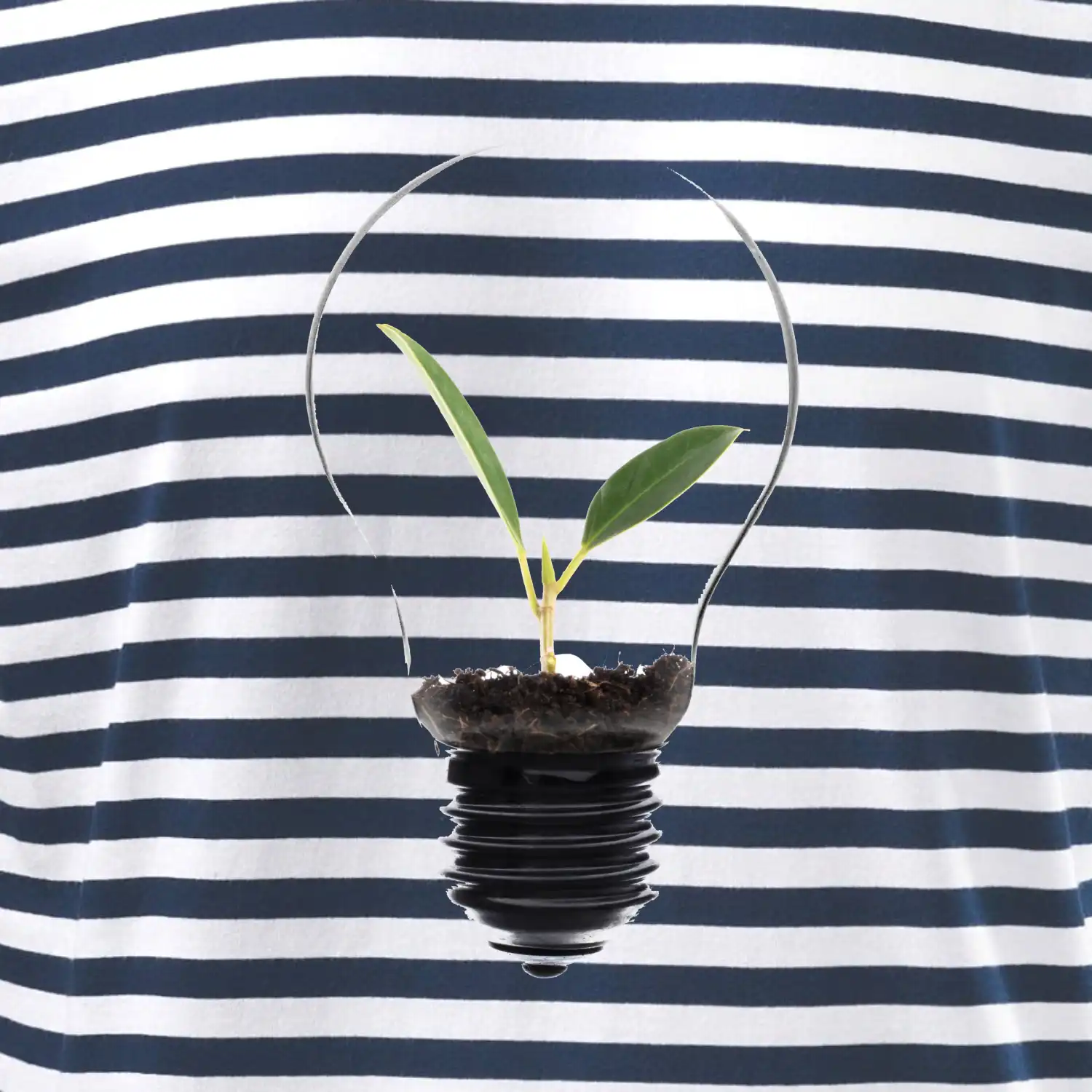 Žárovka květináč