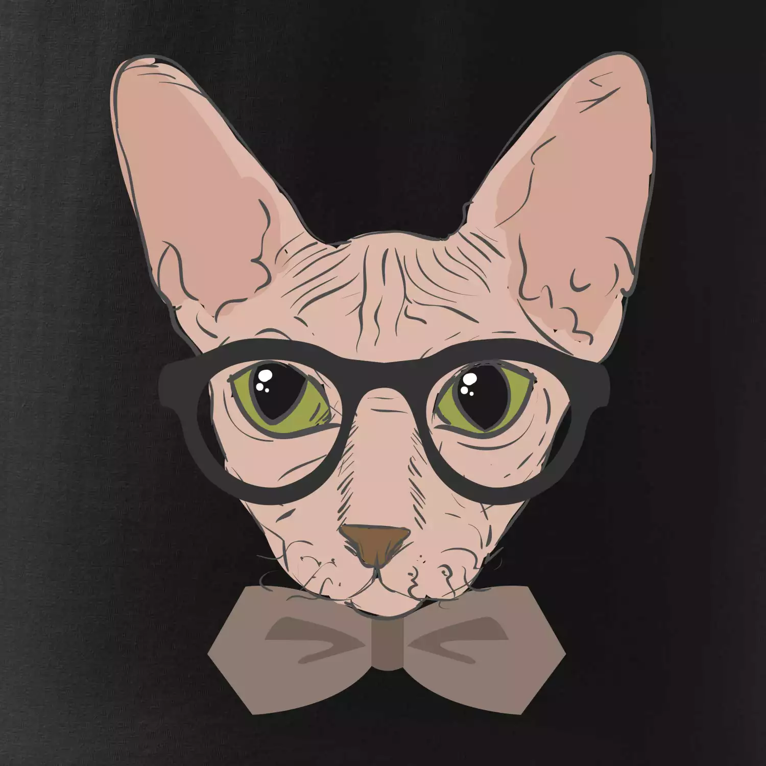 Hipster sphynx