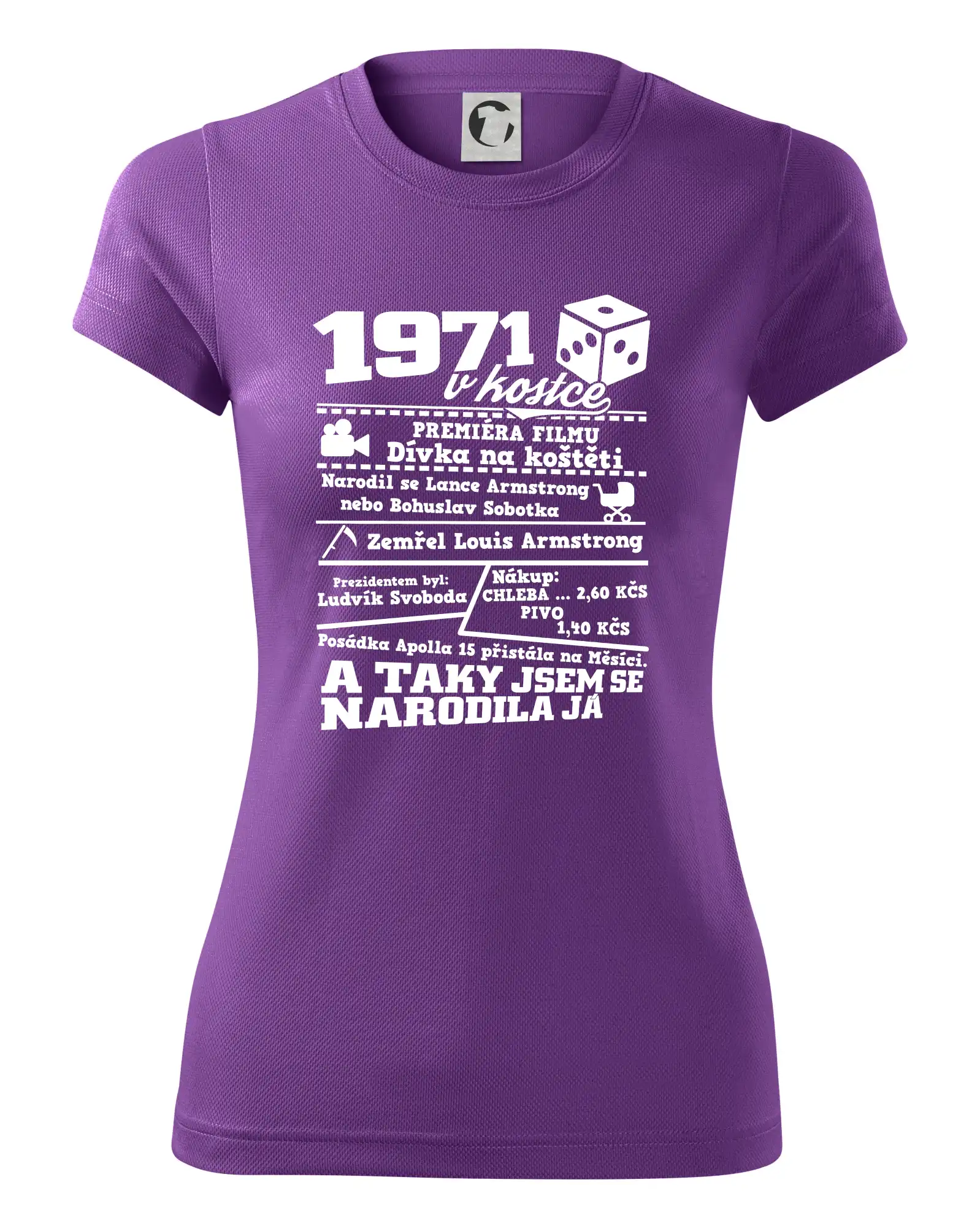 1971 v kostce