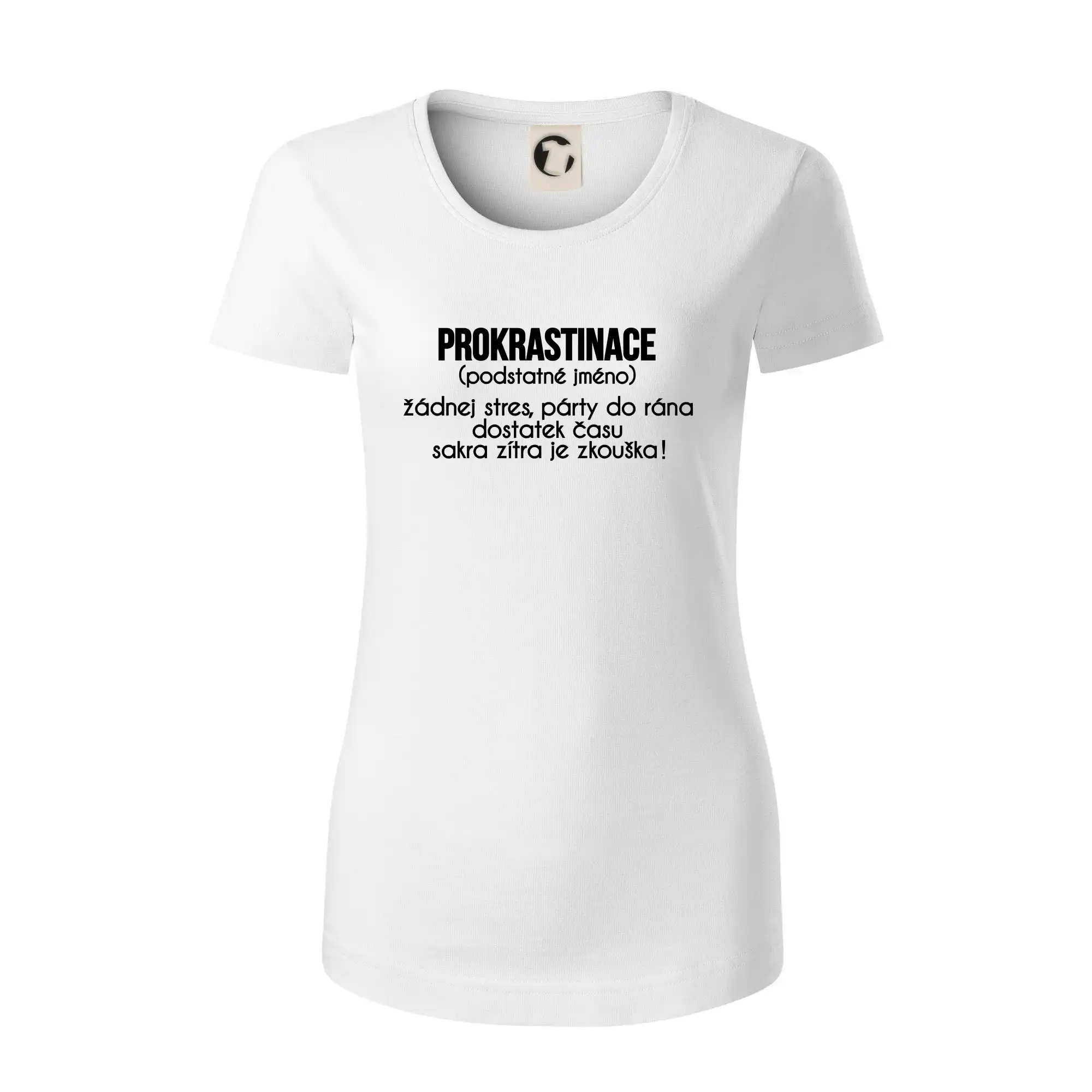 Prokrastinace - TEXT