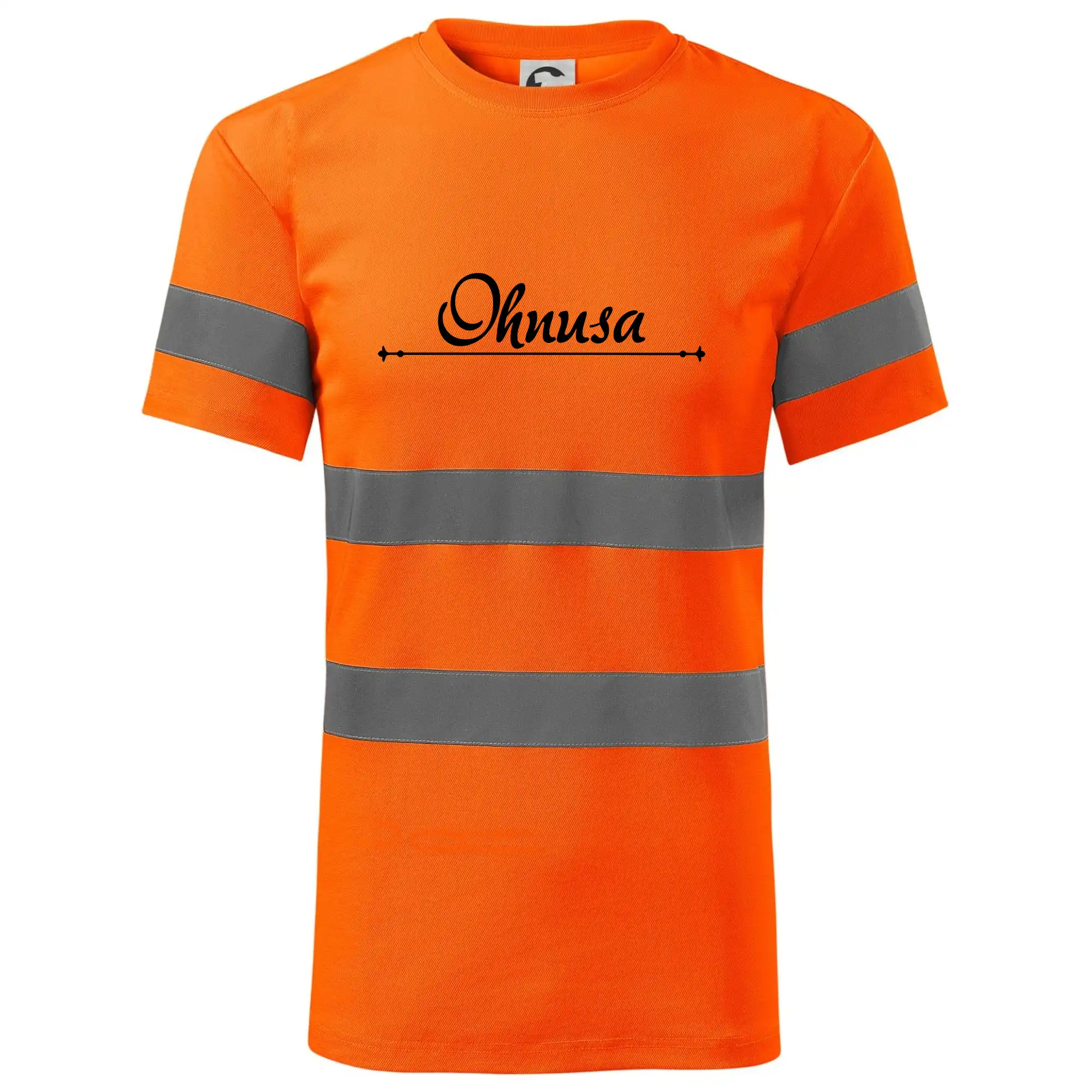 Staročeština - Ohnusa - nestoudník, hanebník, nemrava