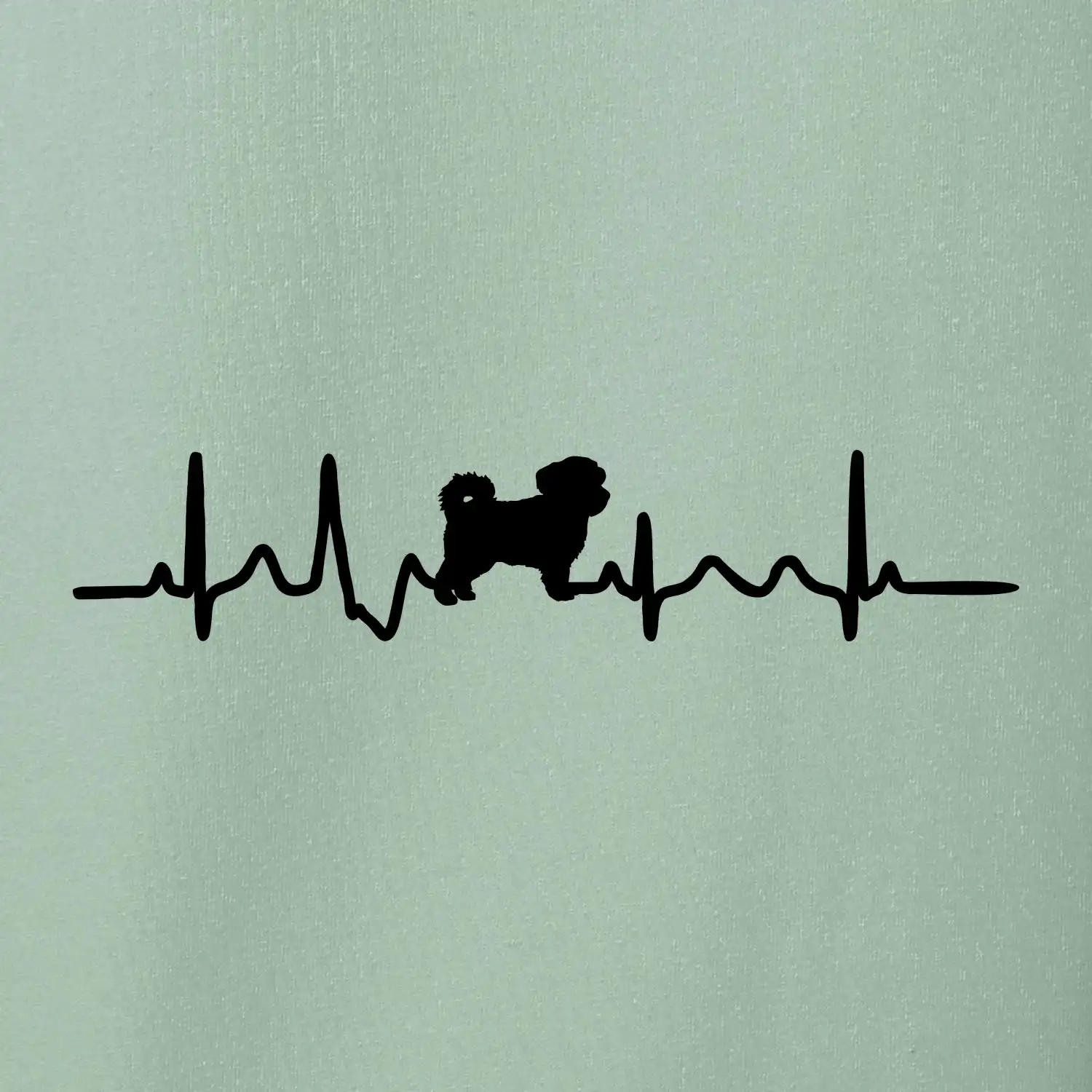 Havanský psík ekg