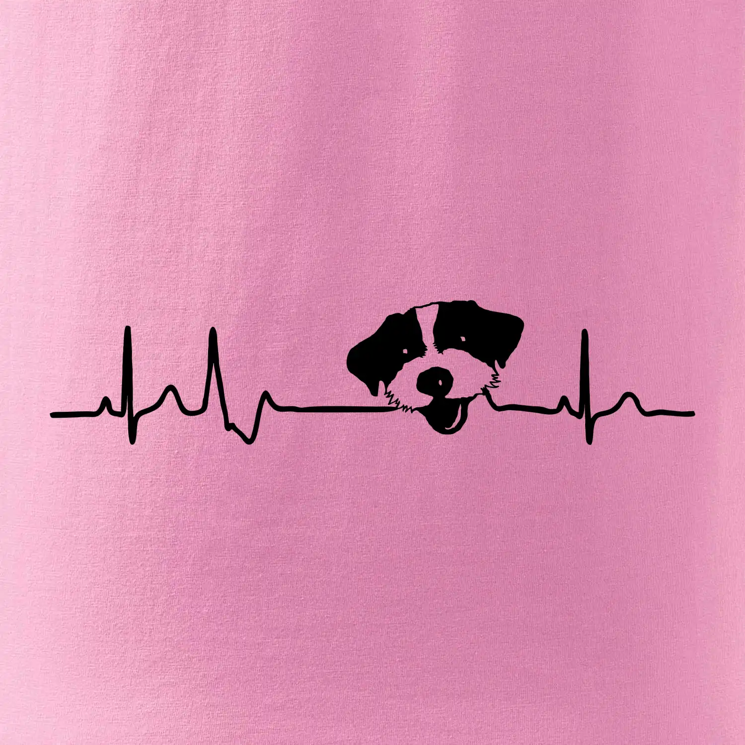 Jack Russell Terriér hrubosrstý Ekg