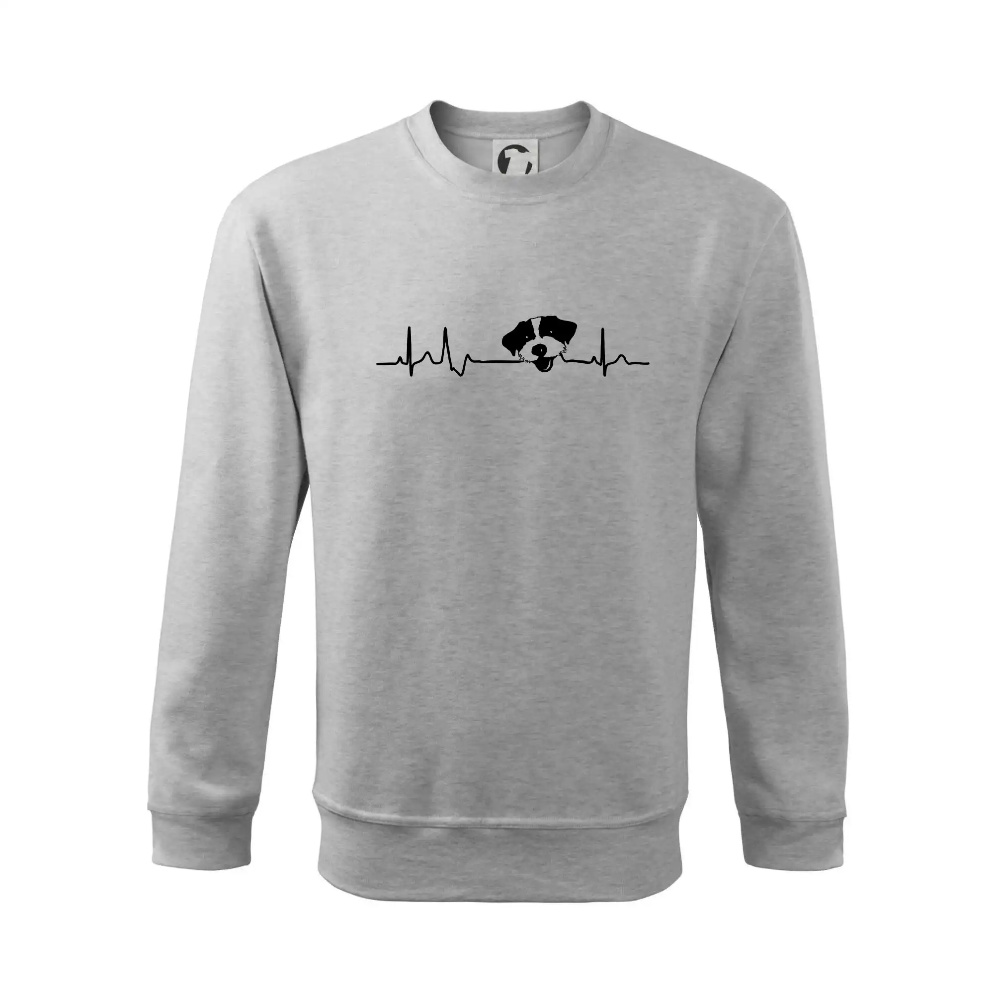 Jack Russell Terriér hrubosrstý Ekg