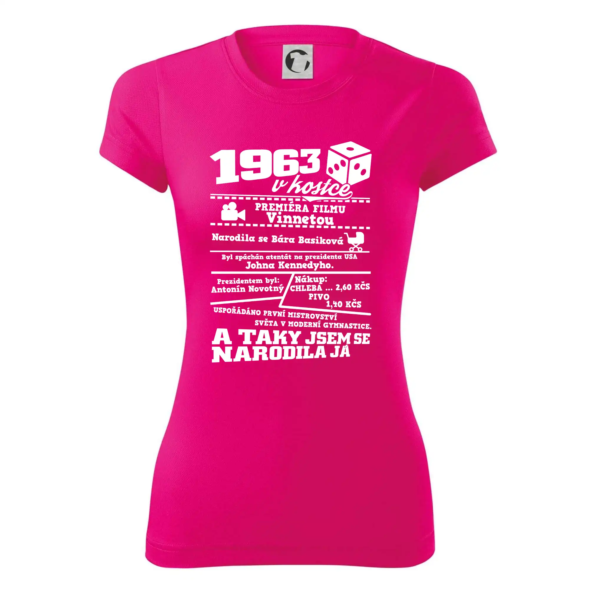 1963 v kostce