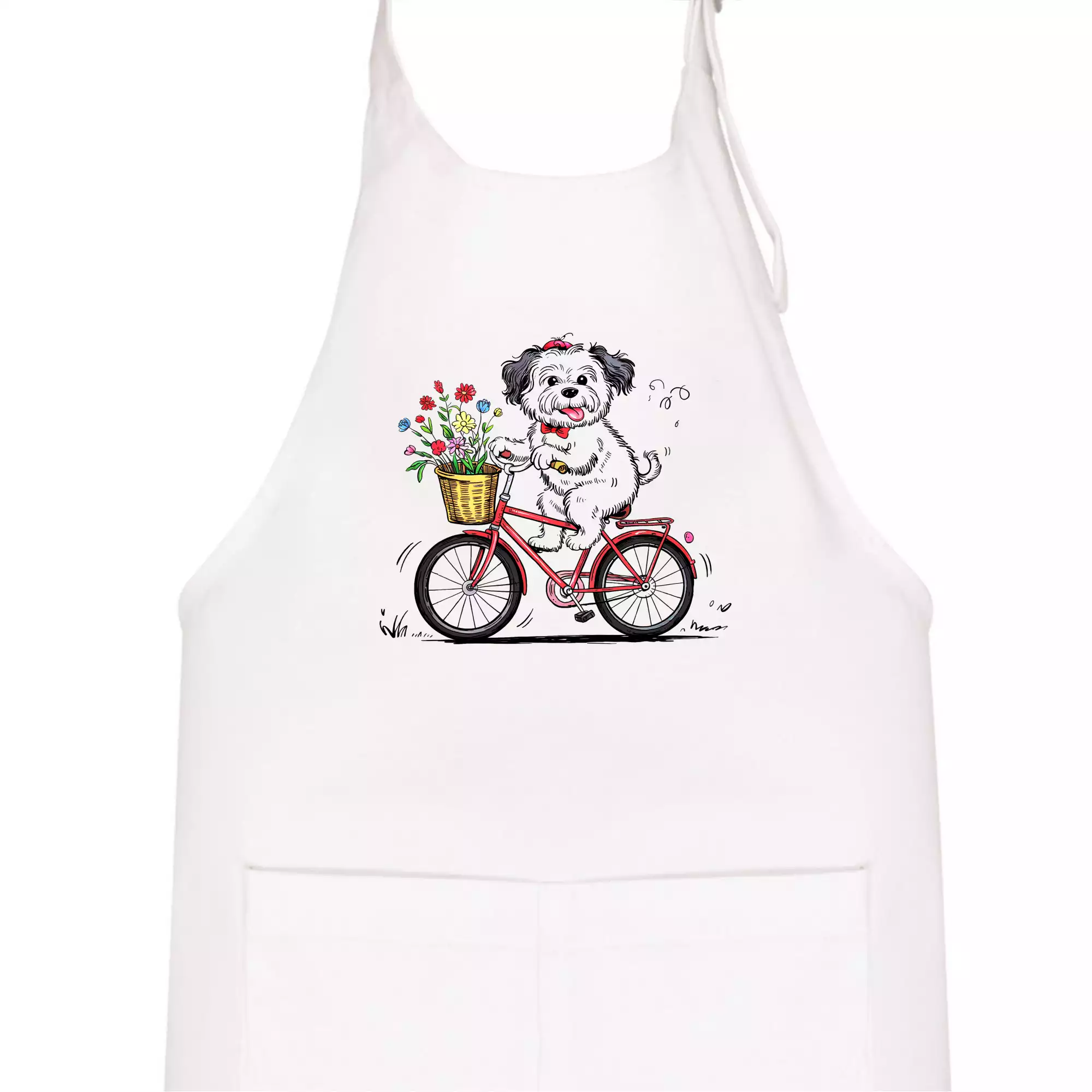 Havanský psík na kole