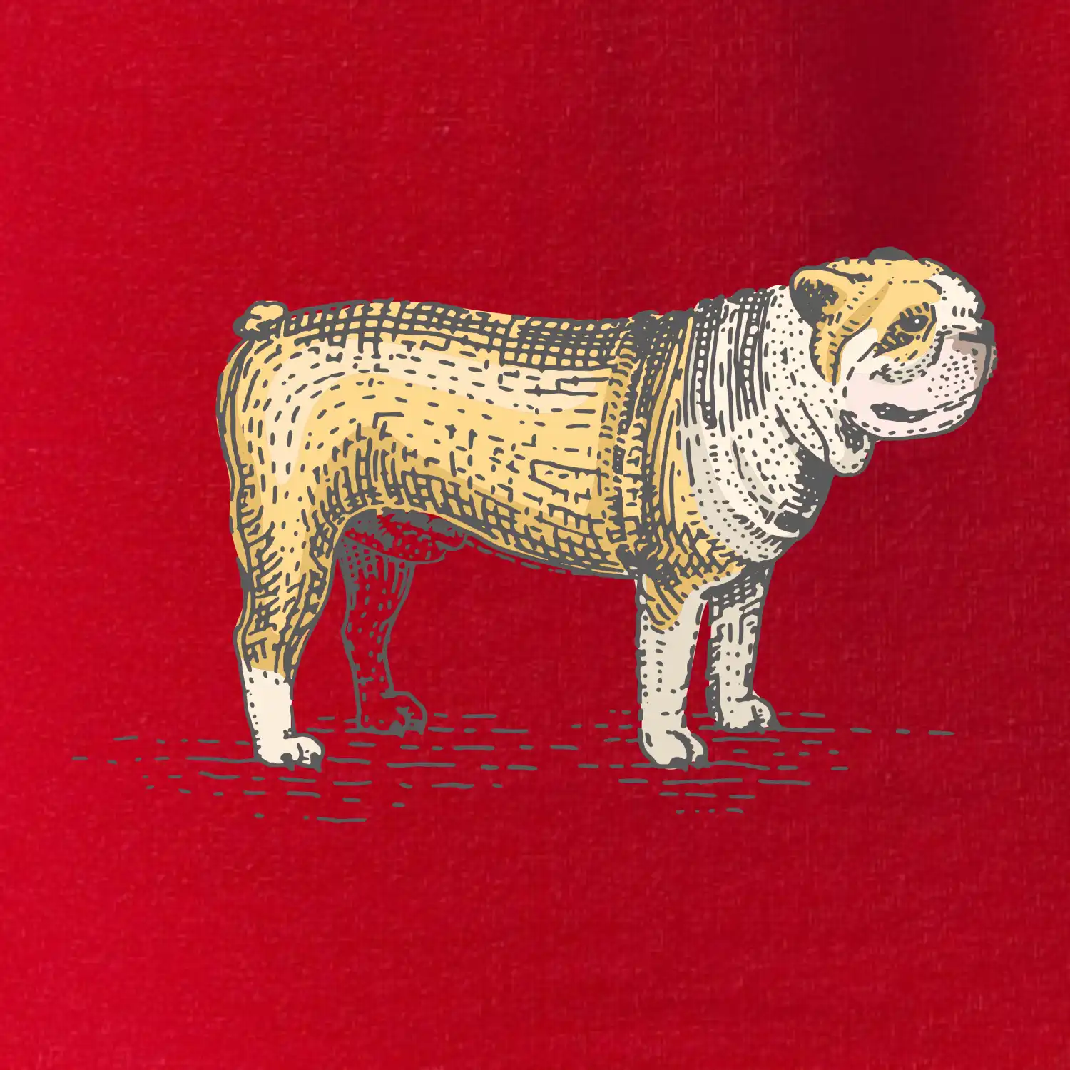 Vintage bulldog
