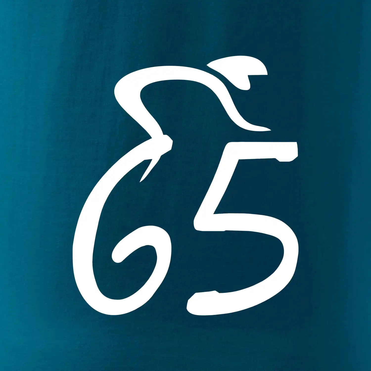 Cyklista slaví pětašedesátku (65)