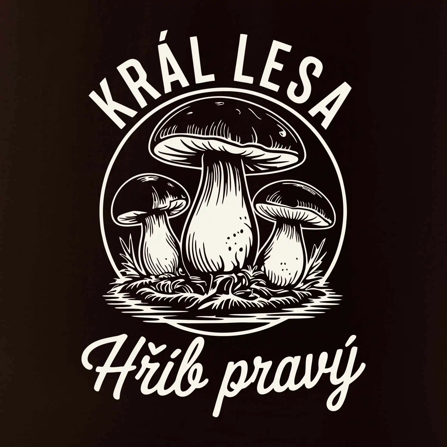 Král lesa hřib pravý
