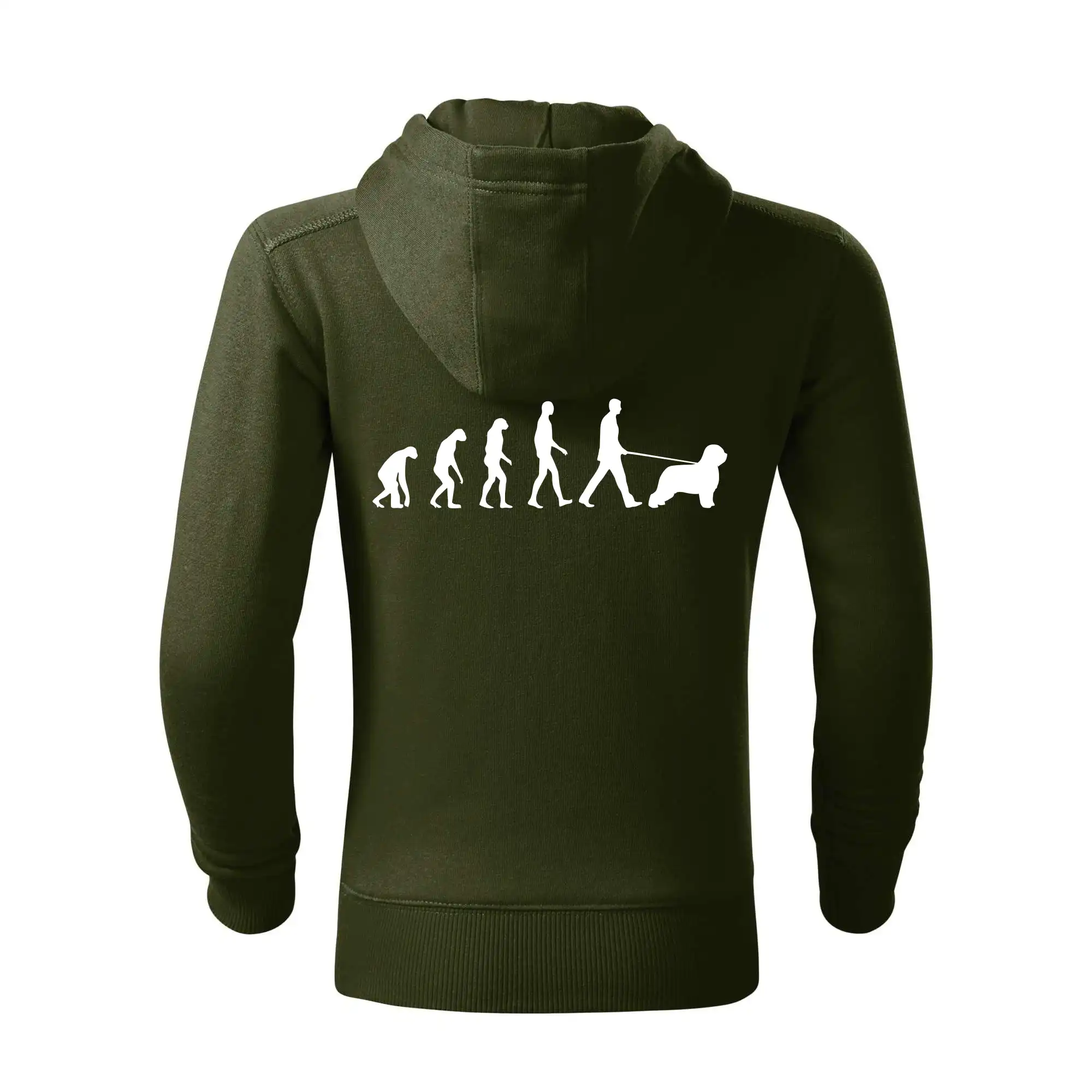 Evoluce pes Briard