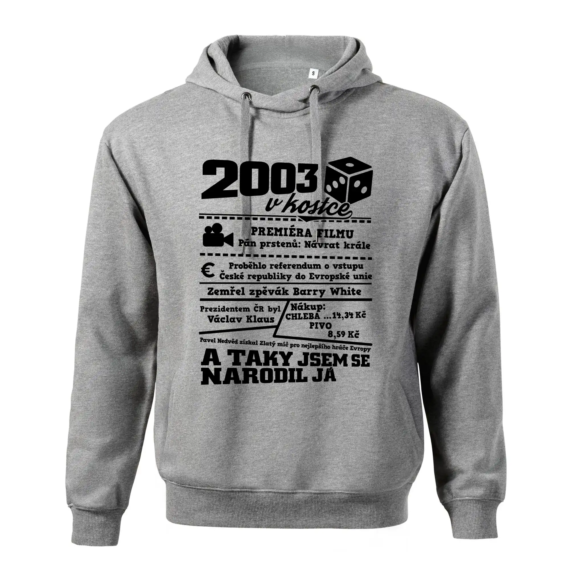 2003 v kostce