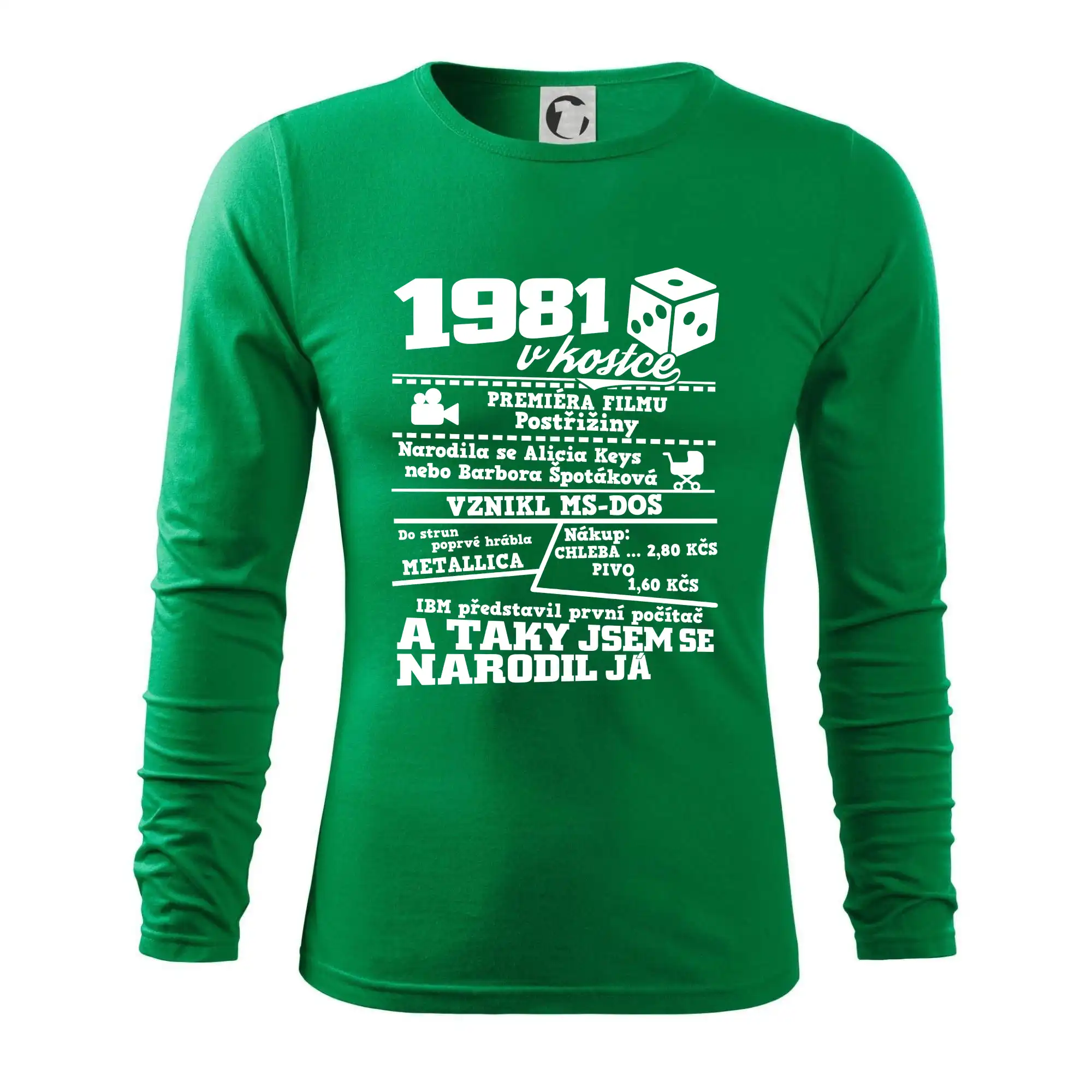 1981 v kostce