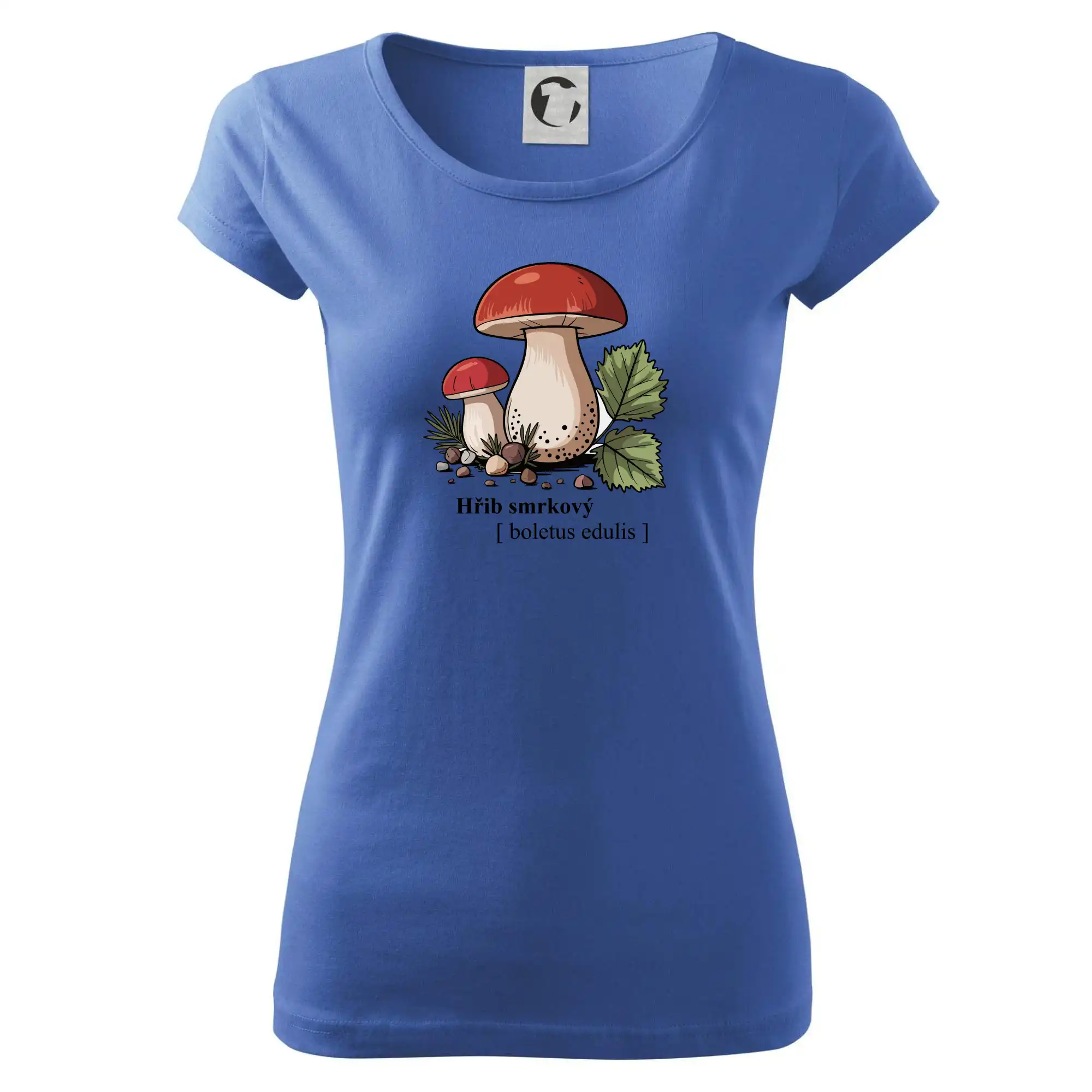 Hřib smrkový - Boletus edulis kreslený