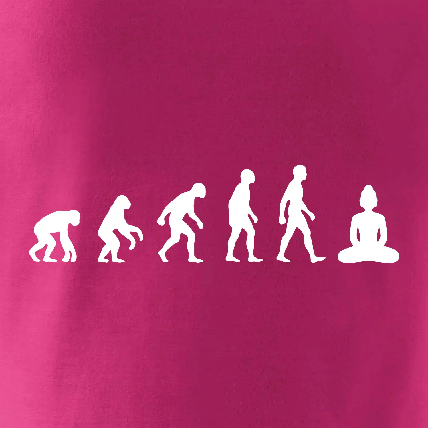 Evoluce budha
