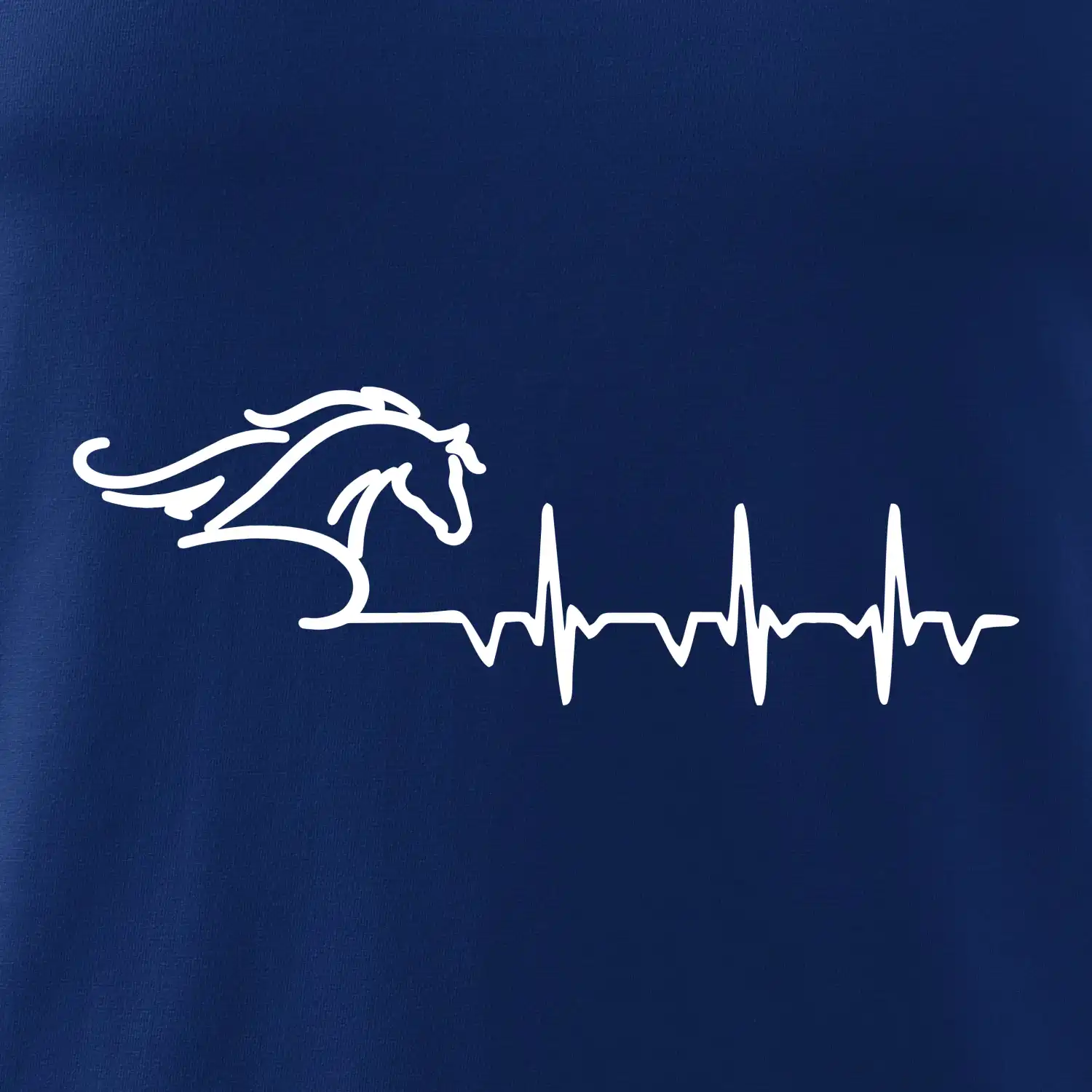 Hlava koně EKG
