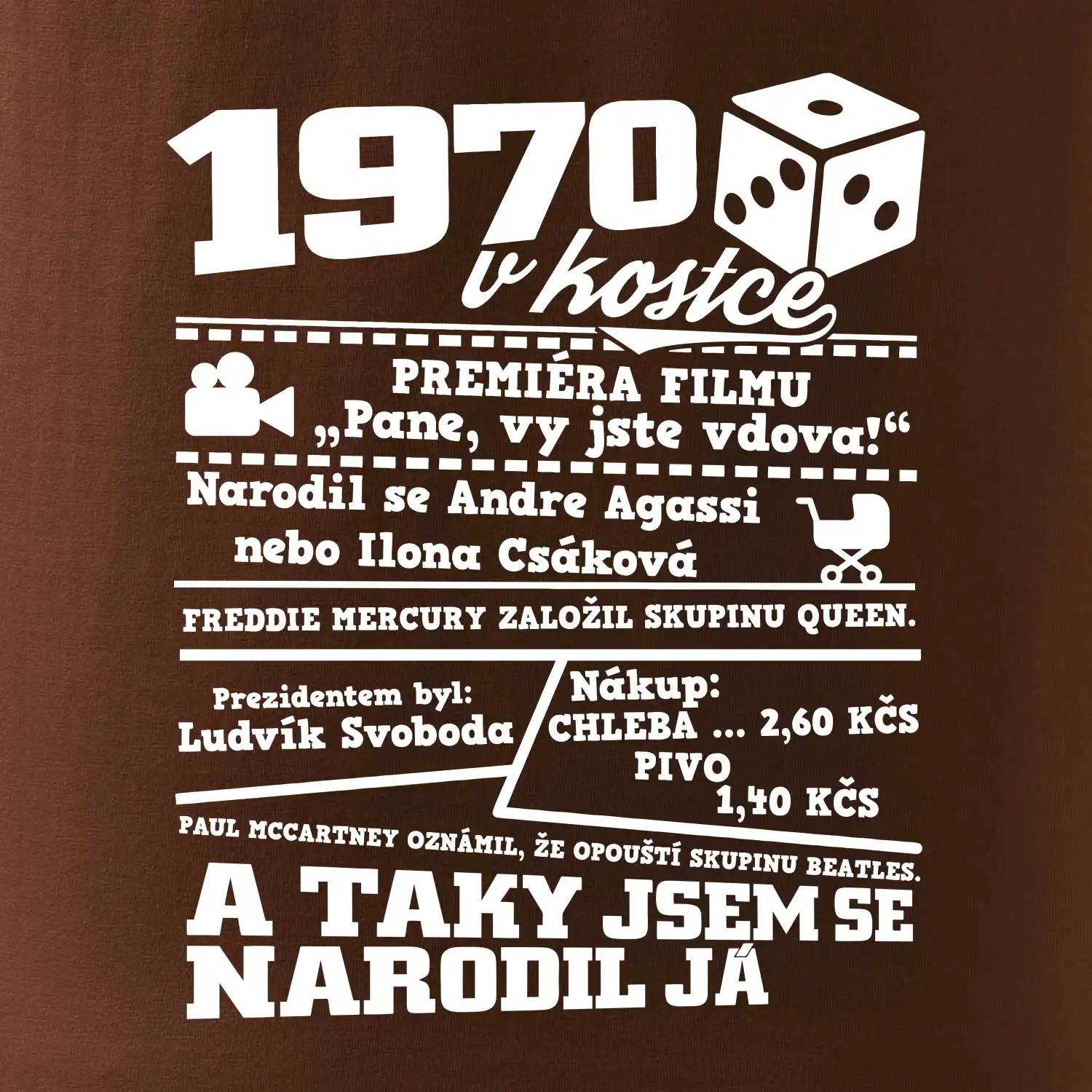 1970 v kostce