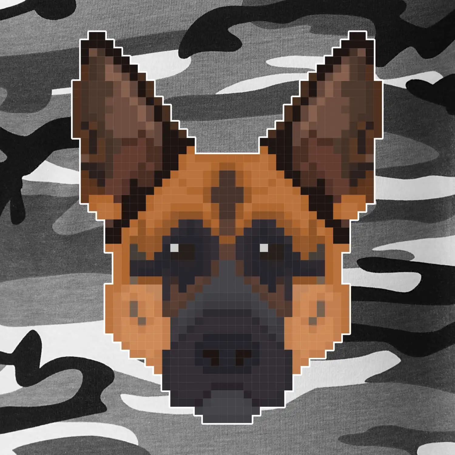 Německý ovčák - Rozkostičkovaný