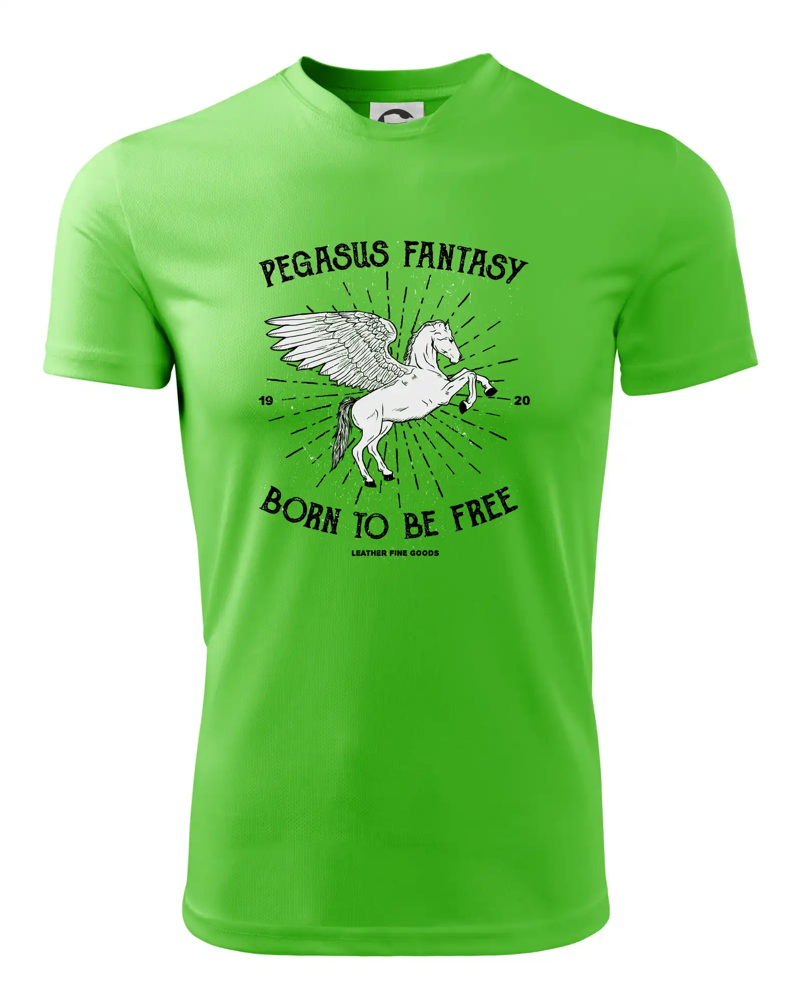 Pegasus fantasy