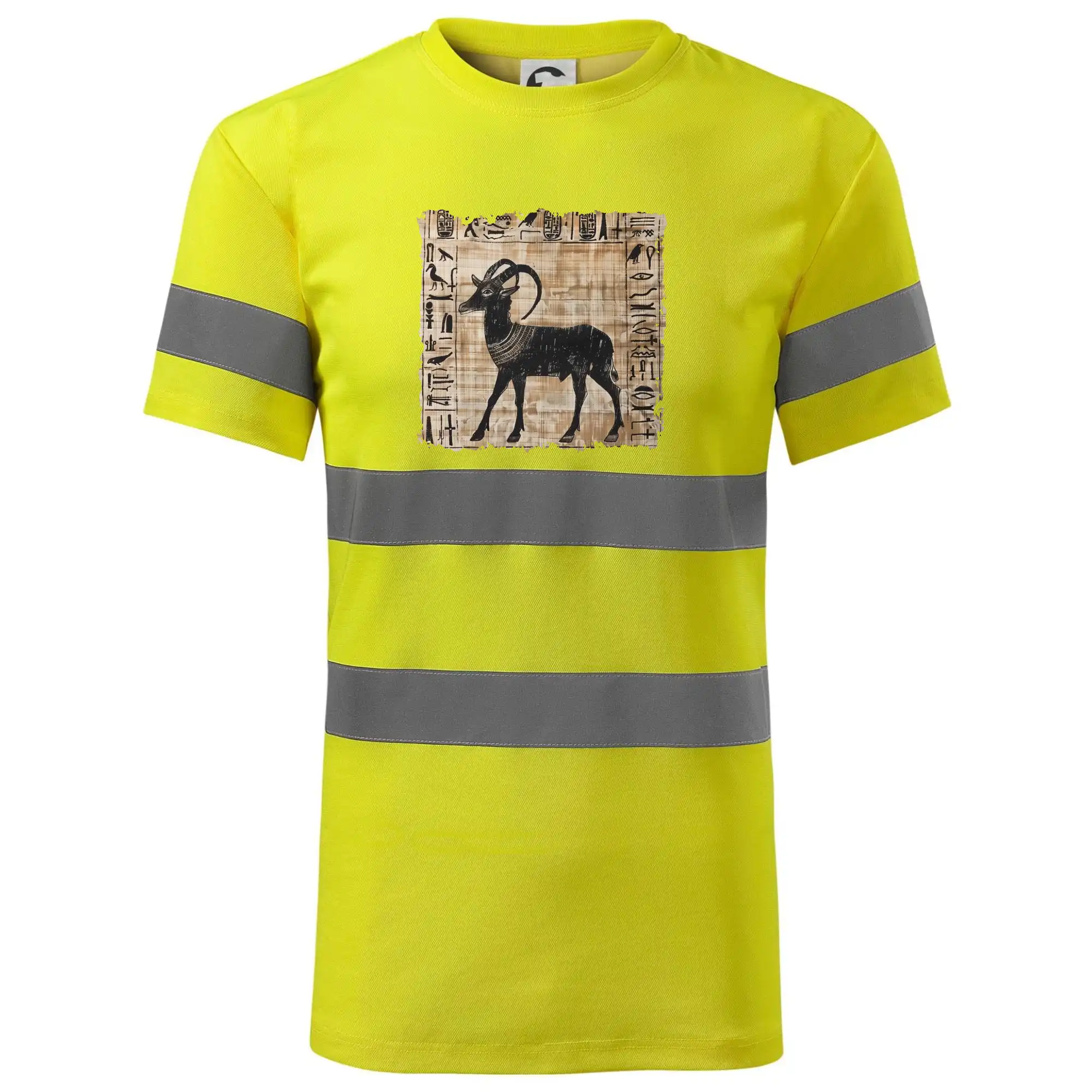 Egyptské hieroglyfy koza