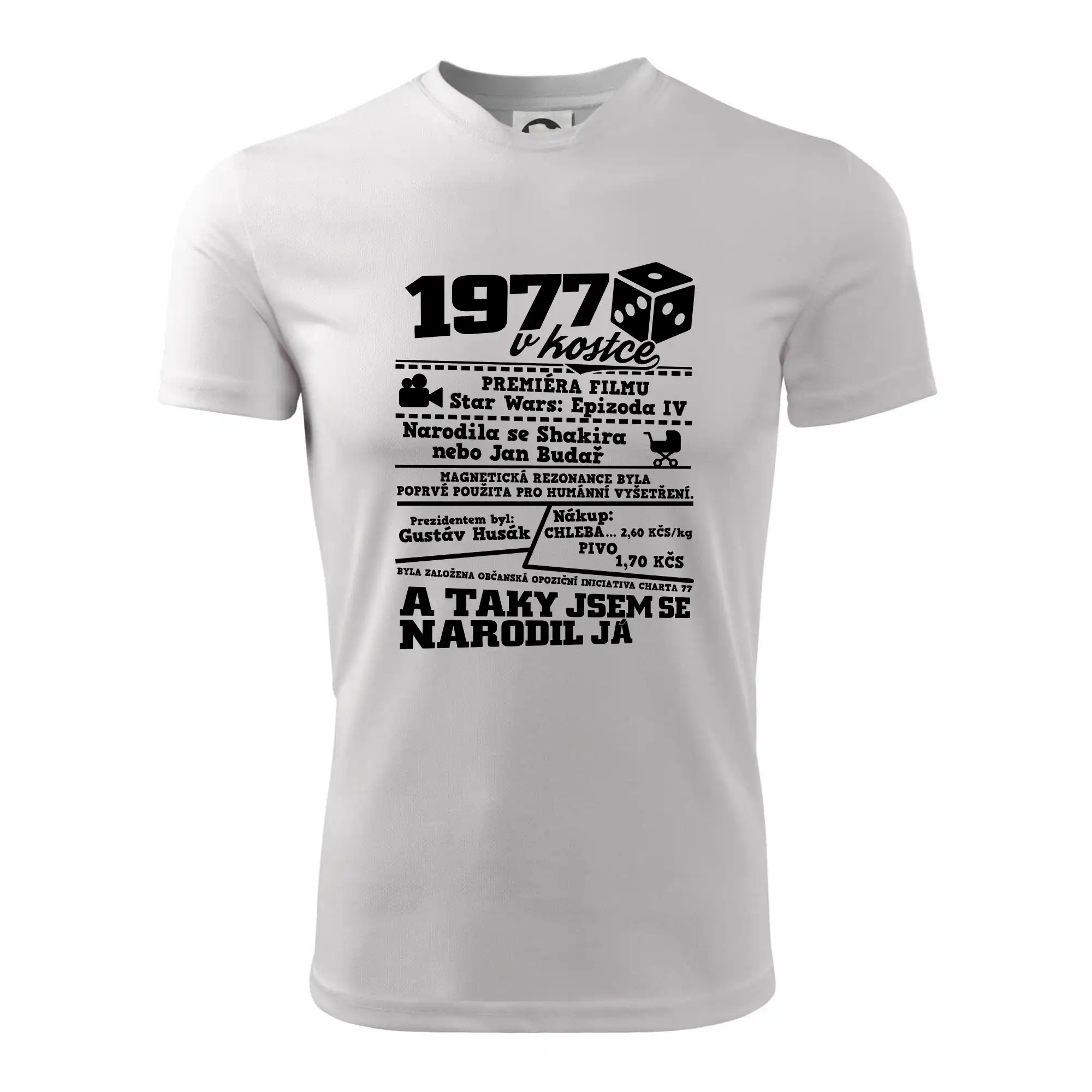 1977 v kostce