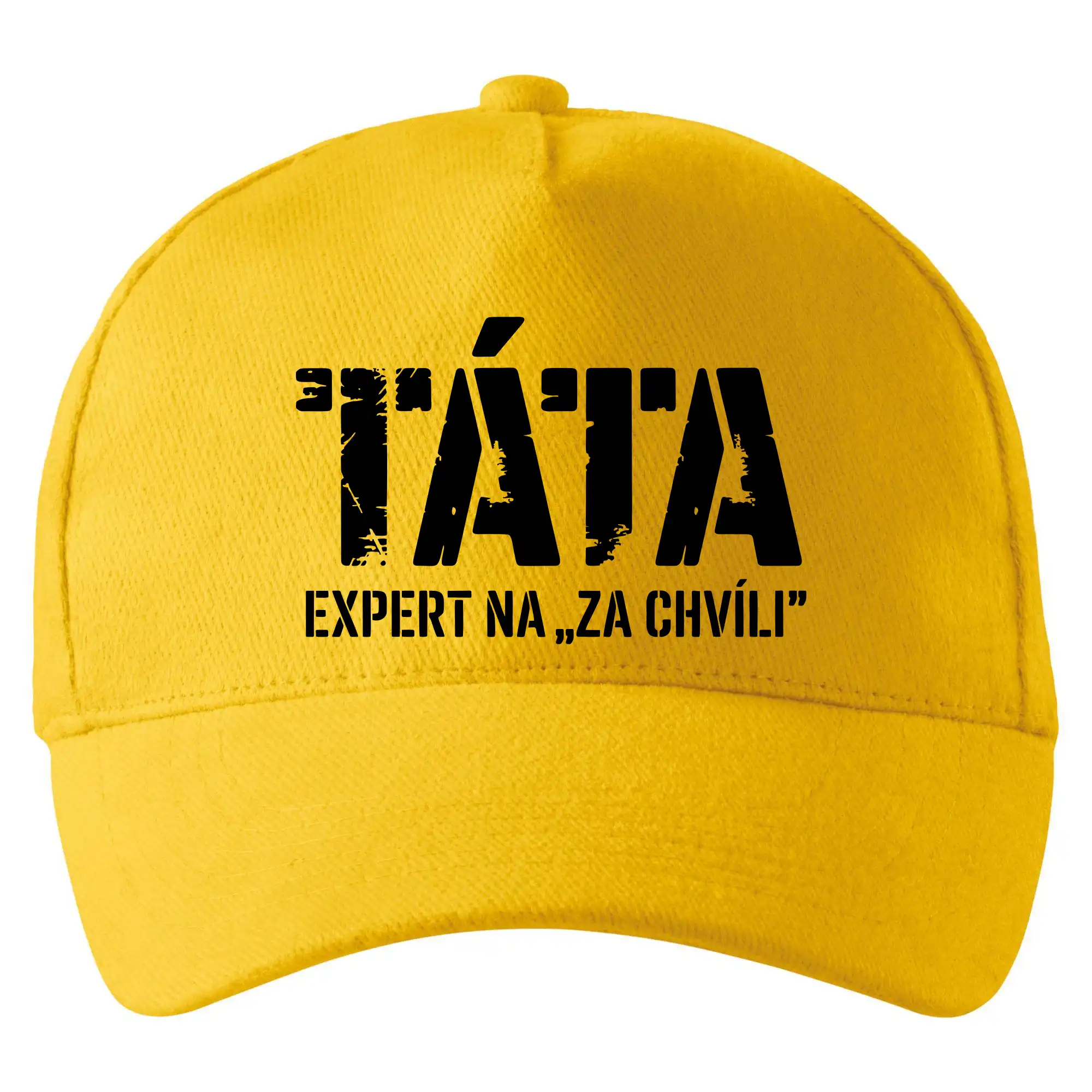 Táta - expert na za chvíli