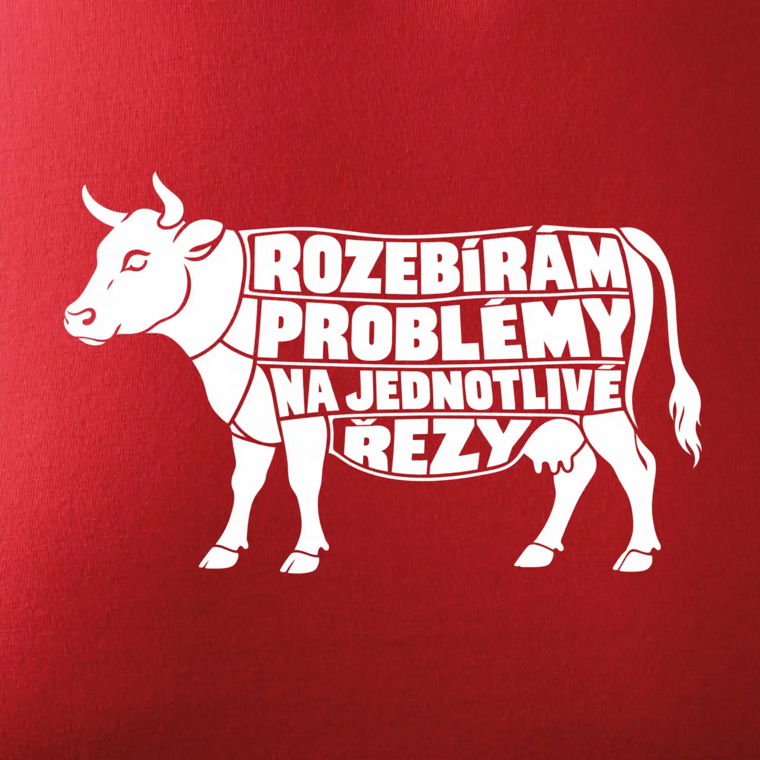 Rozebírám problémy na jednotlivé řezy