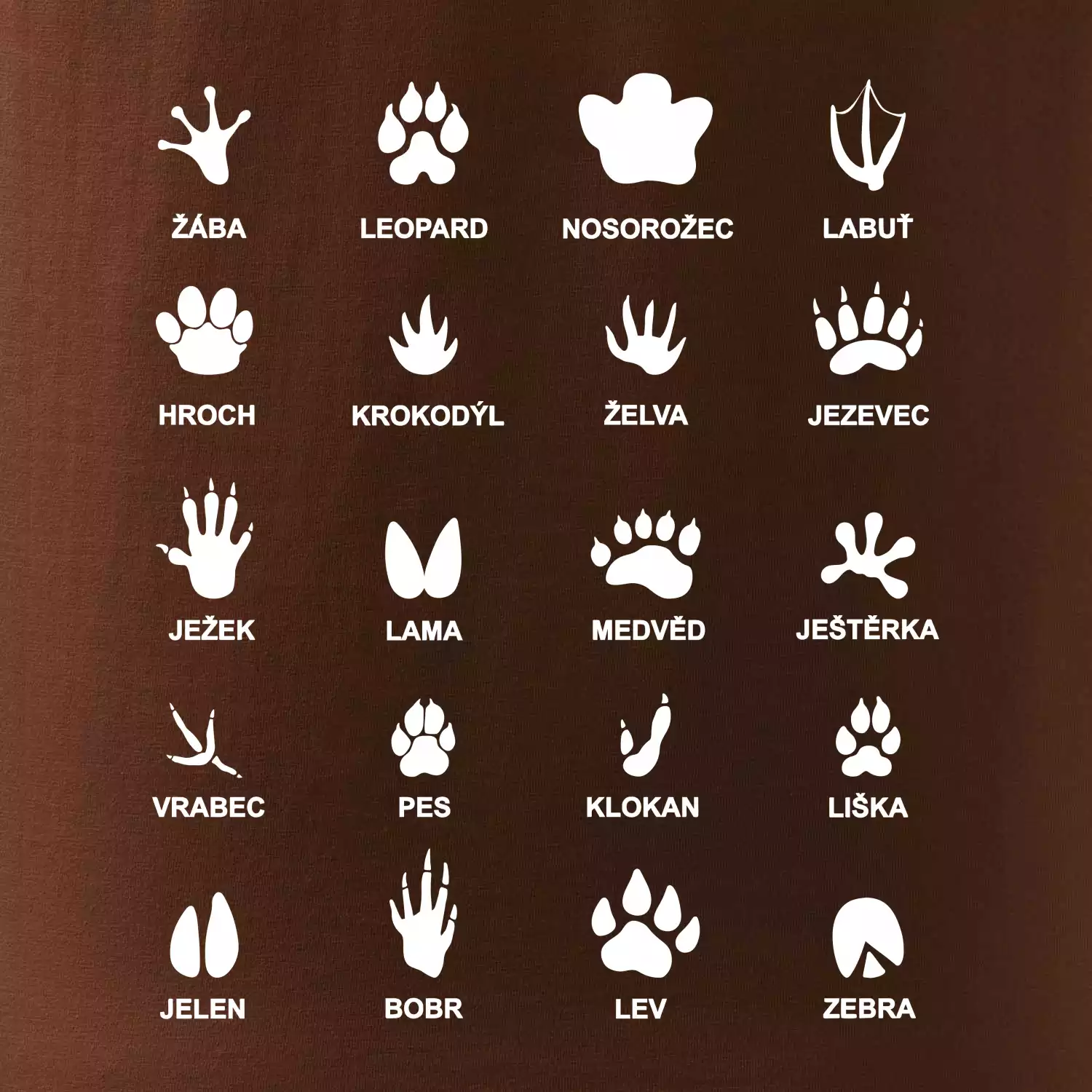 Stopy zvířat