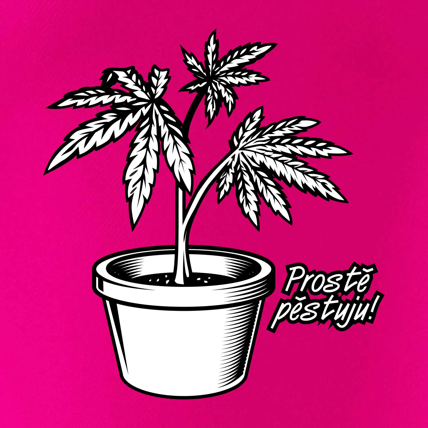 Konopi prostě pěstuju