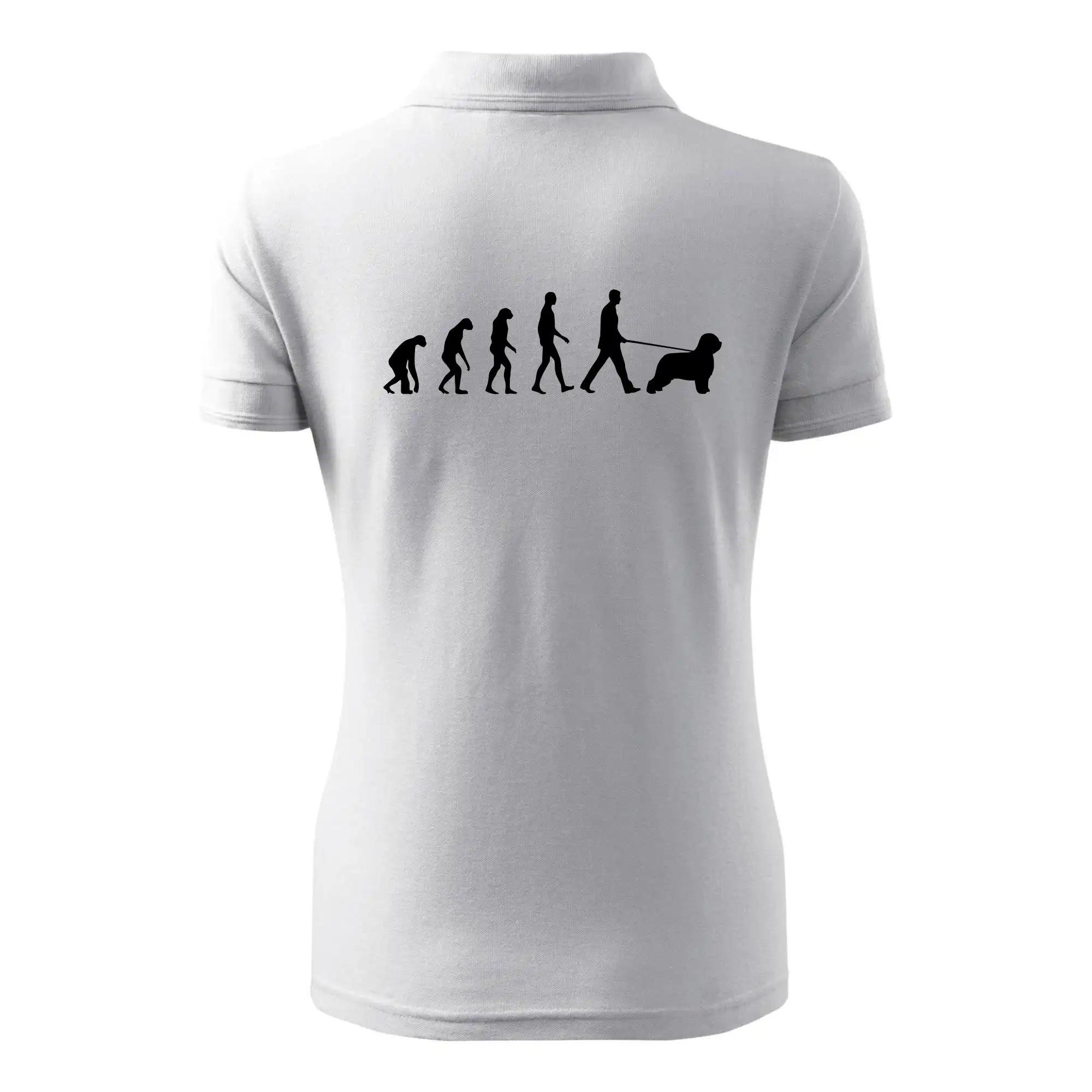 Evoluce pes Briard