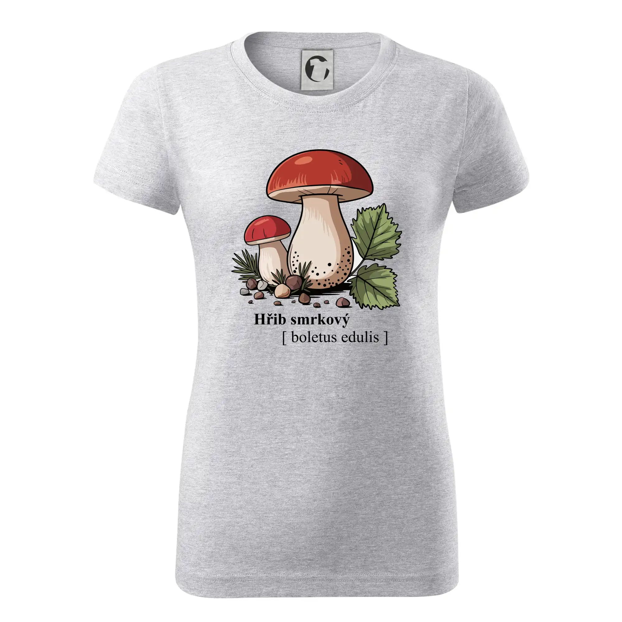 Hřib smrkový - Boletus edulis kreslený