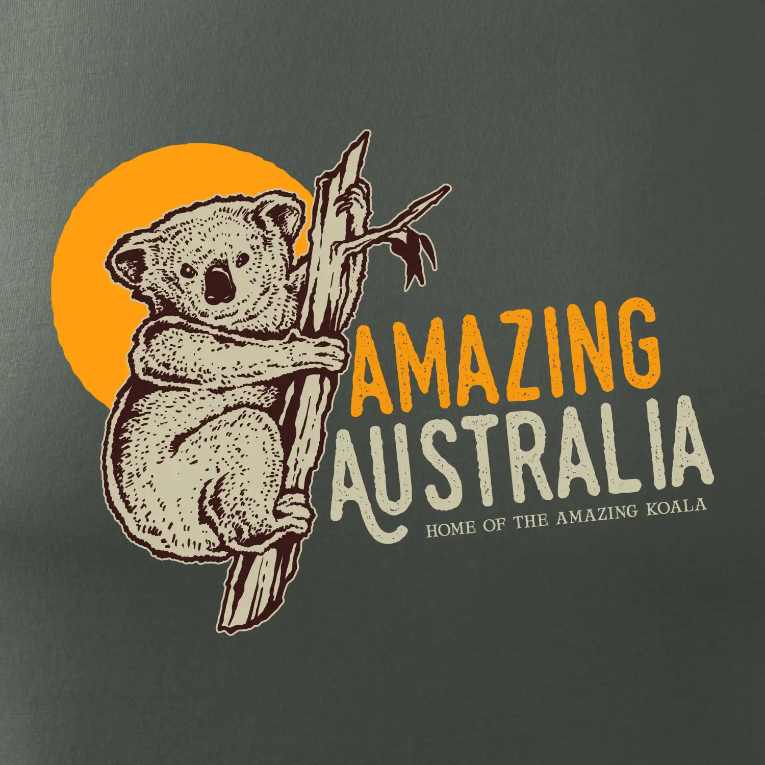 Amazing Australia koala